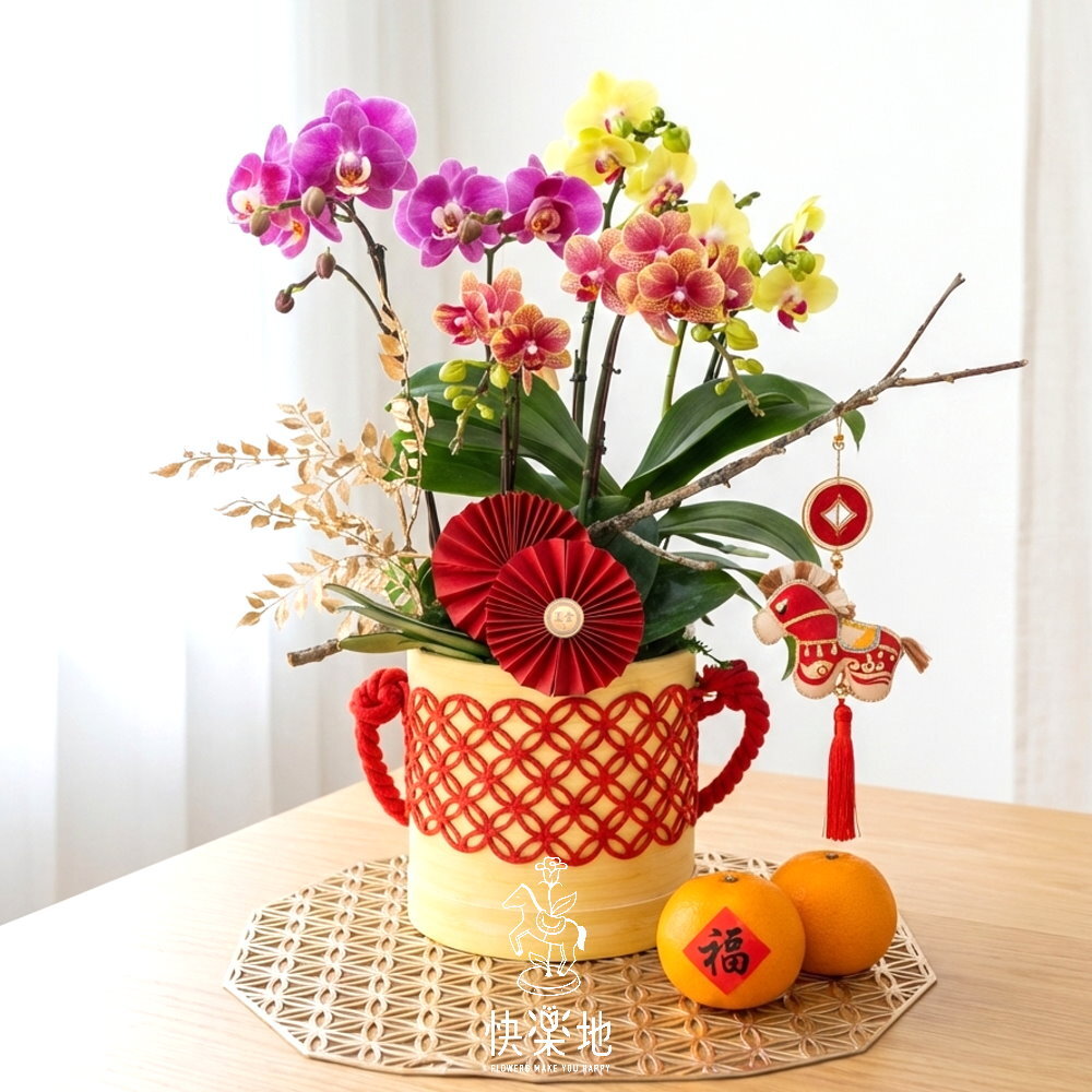 一元復始 I 春節蘭花  OP260288