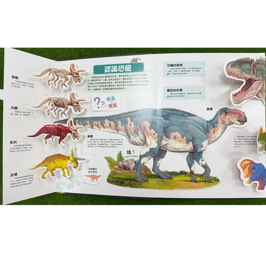 【樂森藥局】幼福文化 大知識大百科3D立體書:大恐龍