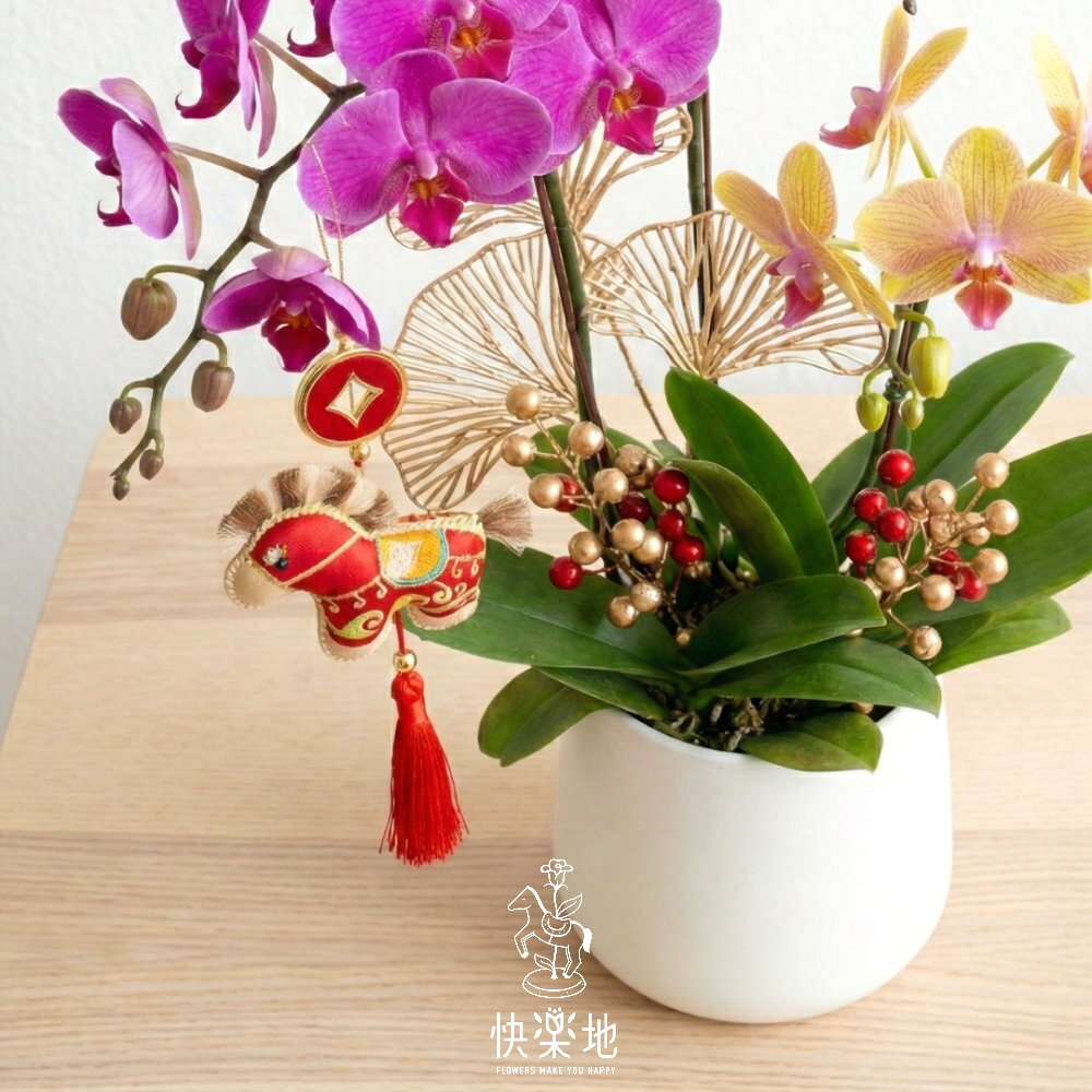 吉歲花開 I 春節蘭花  OP260289