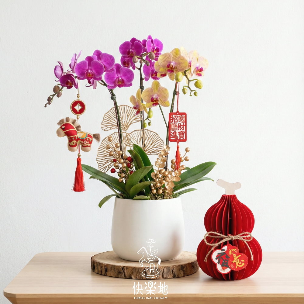 吉歲花開 I 春節蘭花  OP260289