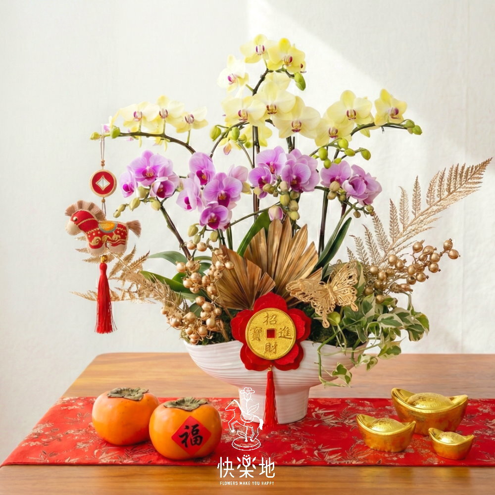 瑞氣盈滿 I 春節蘭花  OP260588