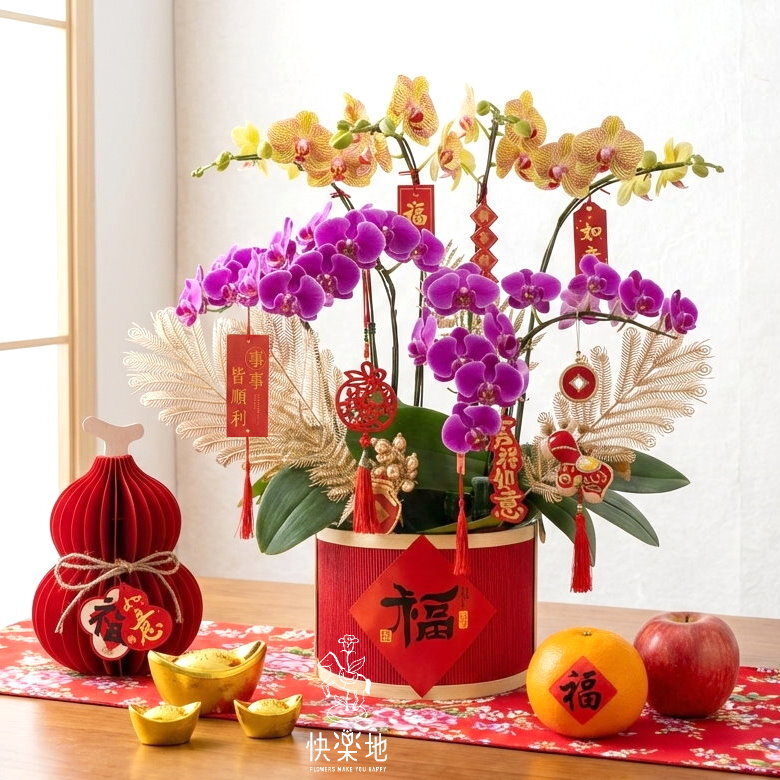 逐夢成真 I 春節蘭花  OP260589