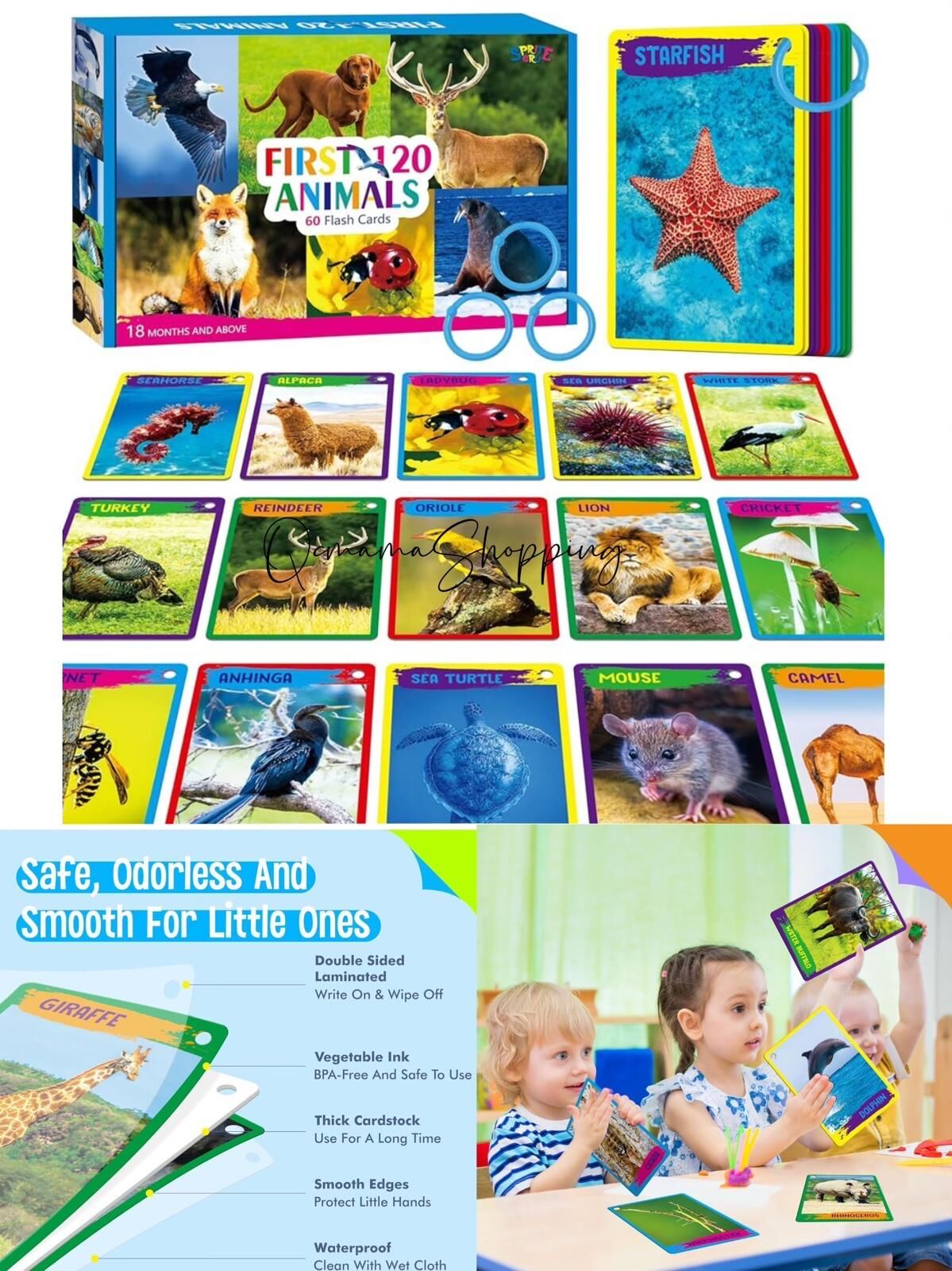 (現貨) 美國直送 早教 Flash Card Set (Animals / Alphabet/ Numbers/ Shape)