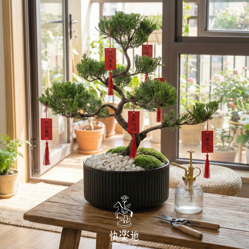 步步登高 I 松柏塑態盆景 GF260898