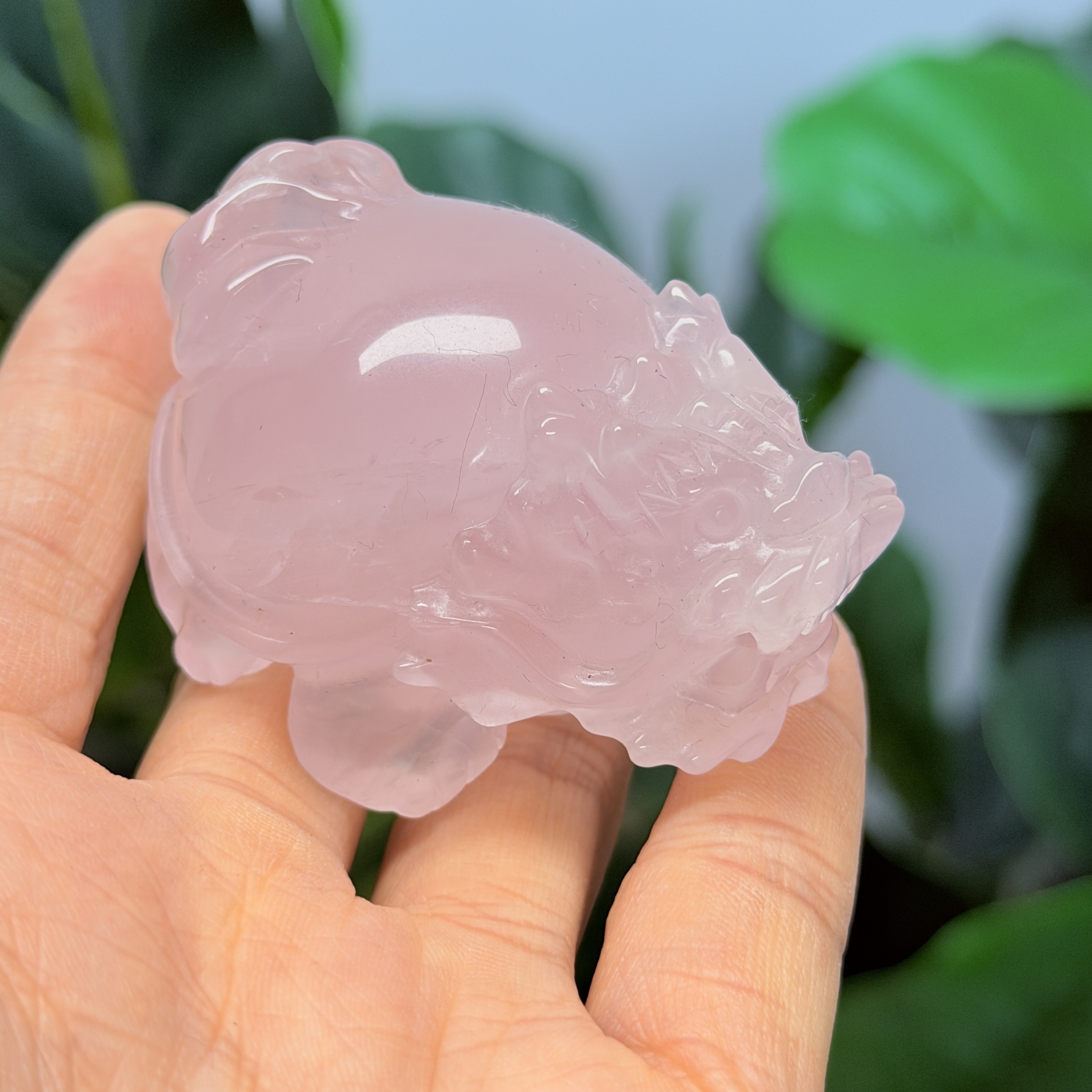 高級數粉晶龍龜  MP1714