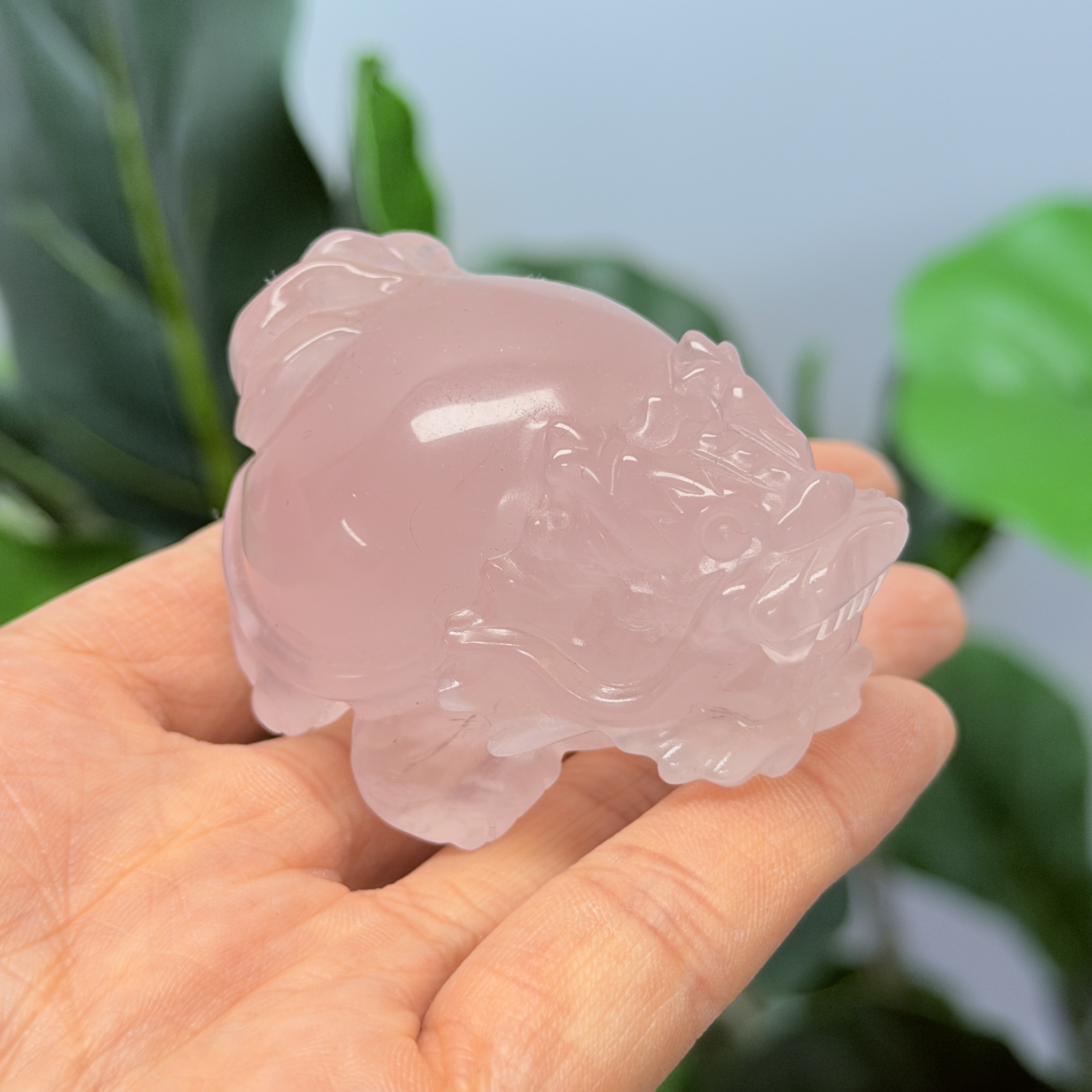 高級數粉晶龍龜  MP1713