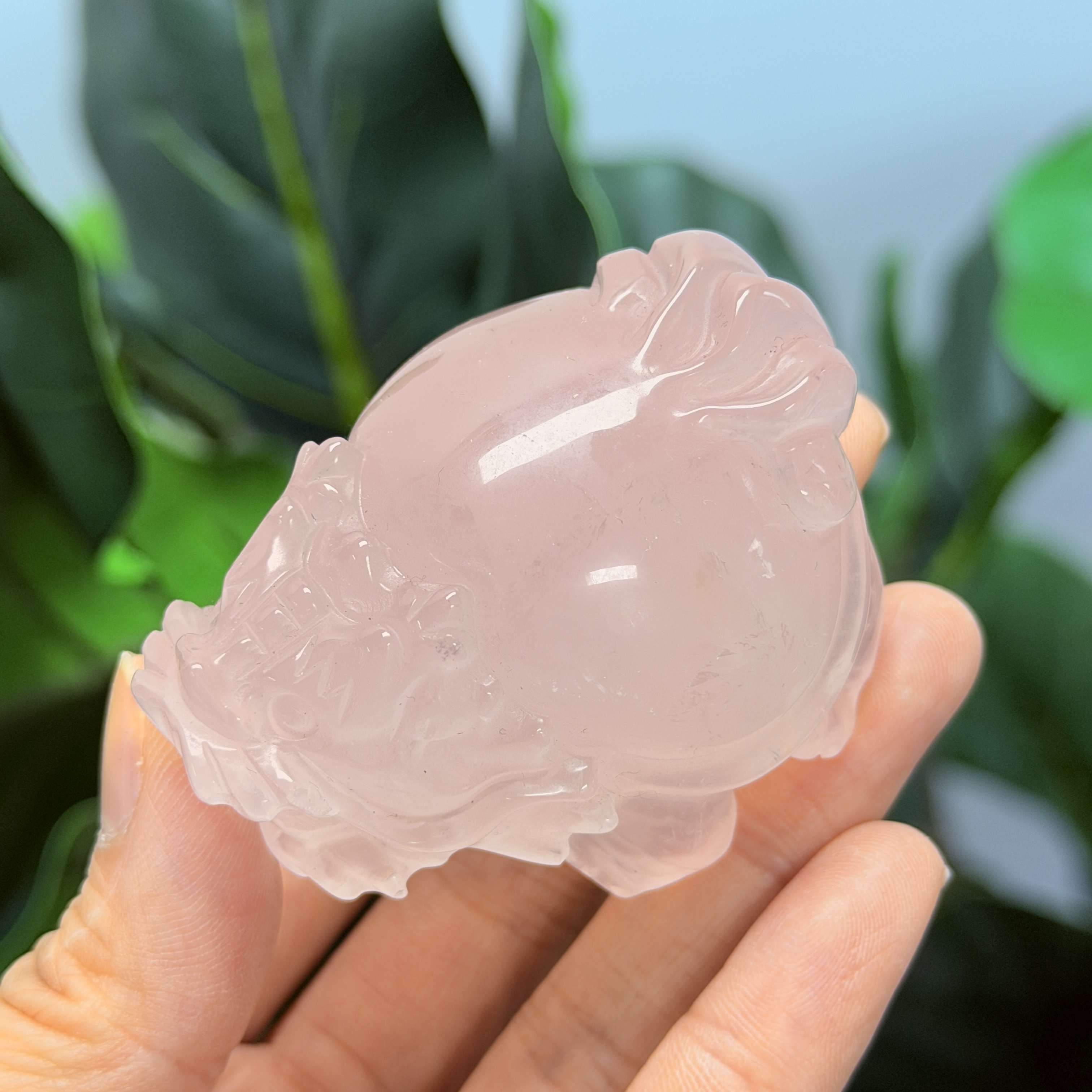 高級數粉晶龍龜  MP1712