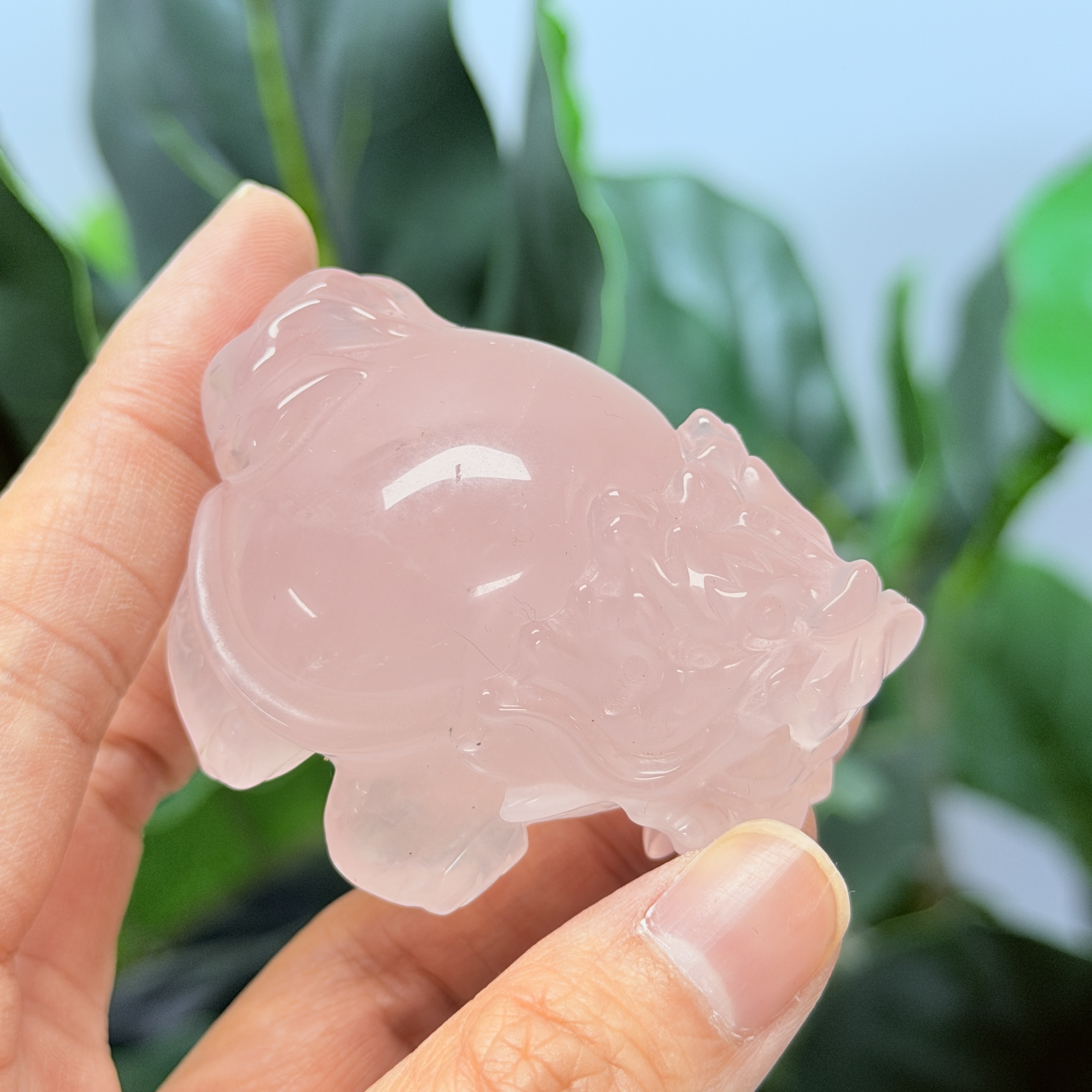 高級數粉晶龍龜  MP1712