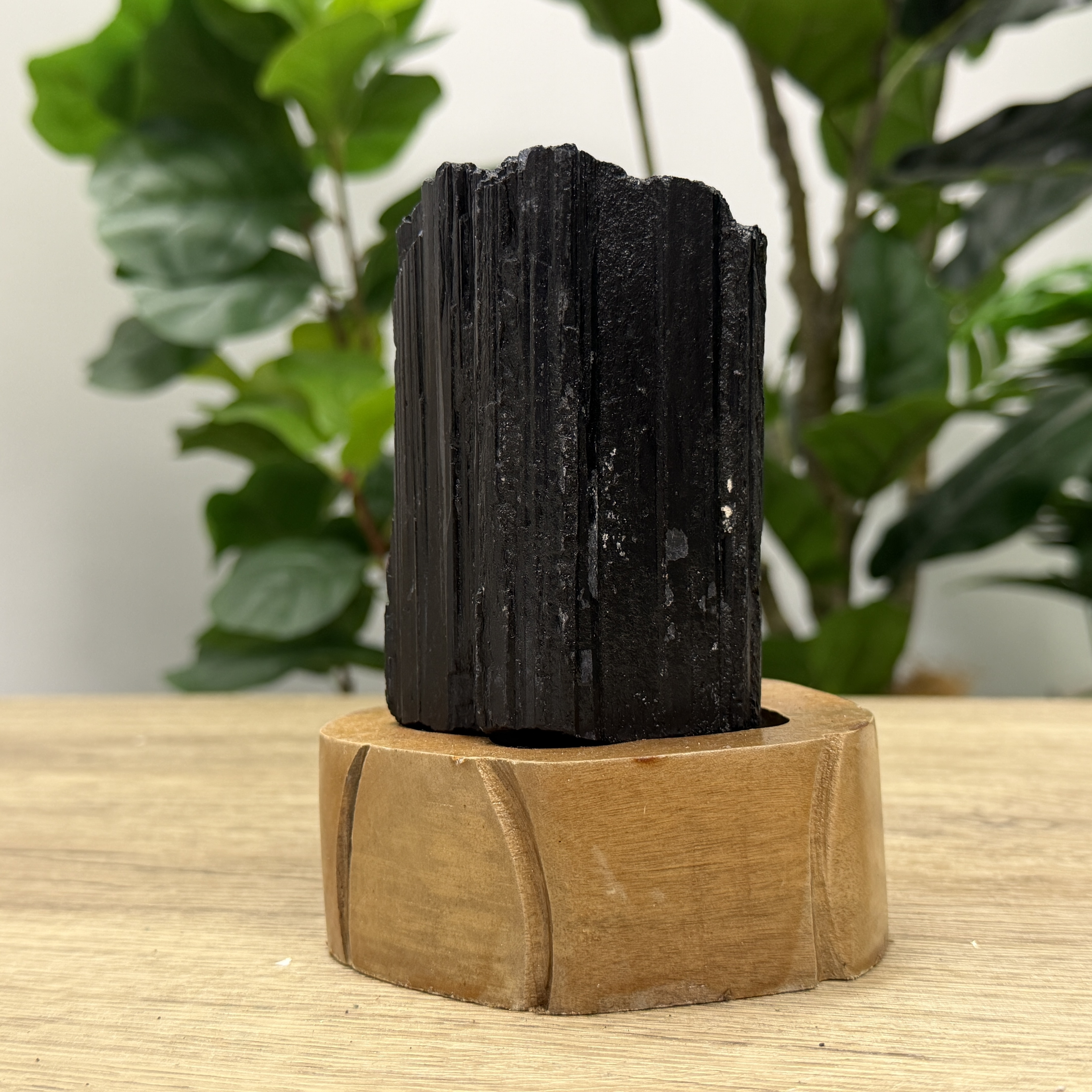 黑碧璽/電氣石 955G TRR1806