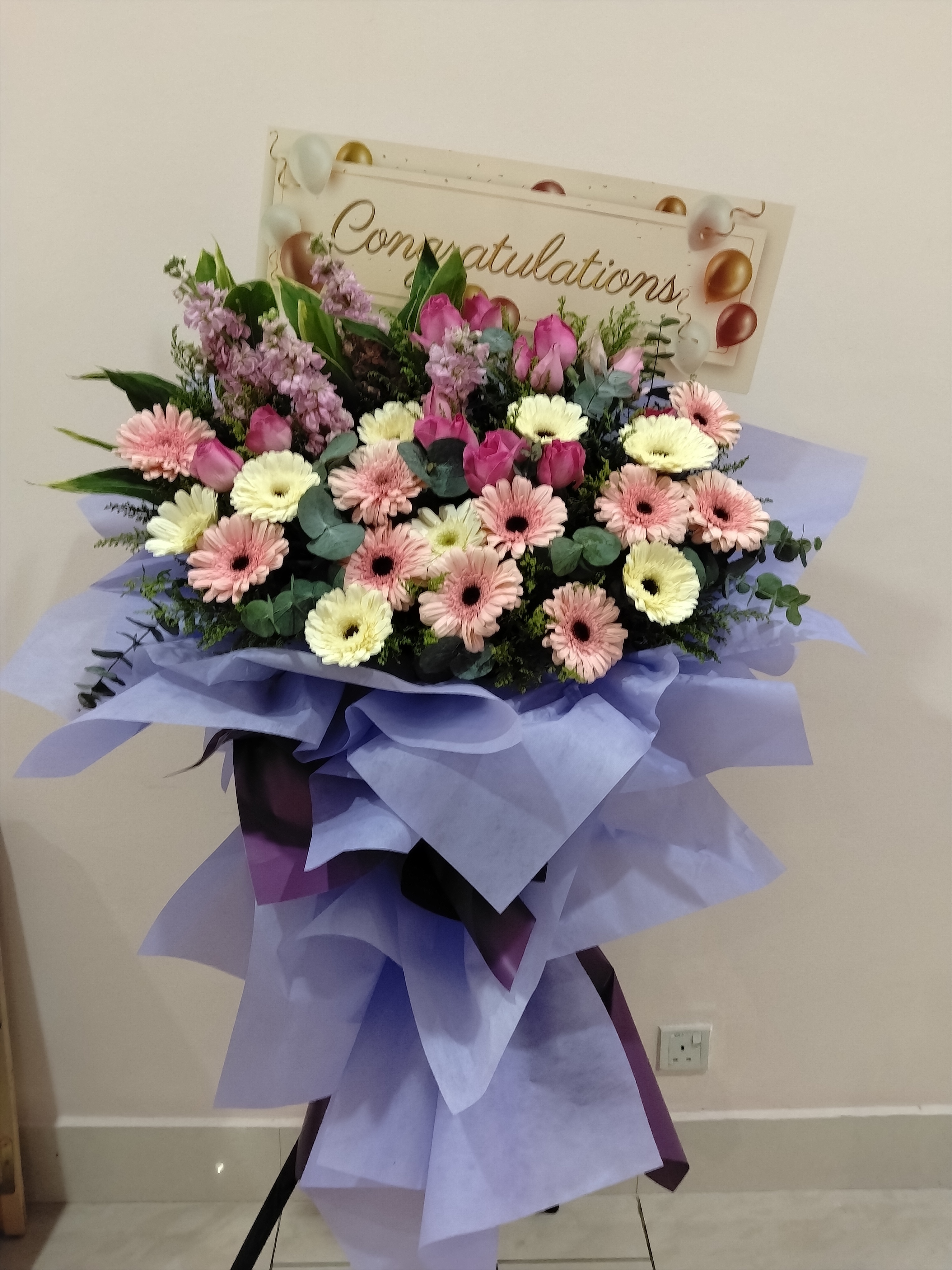 Grand Opening - GO52