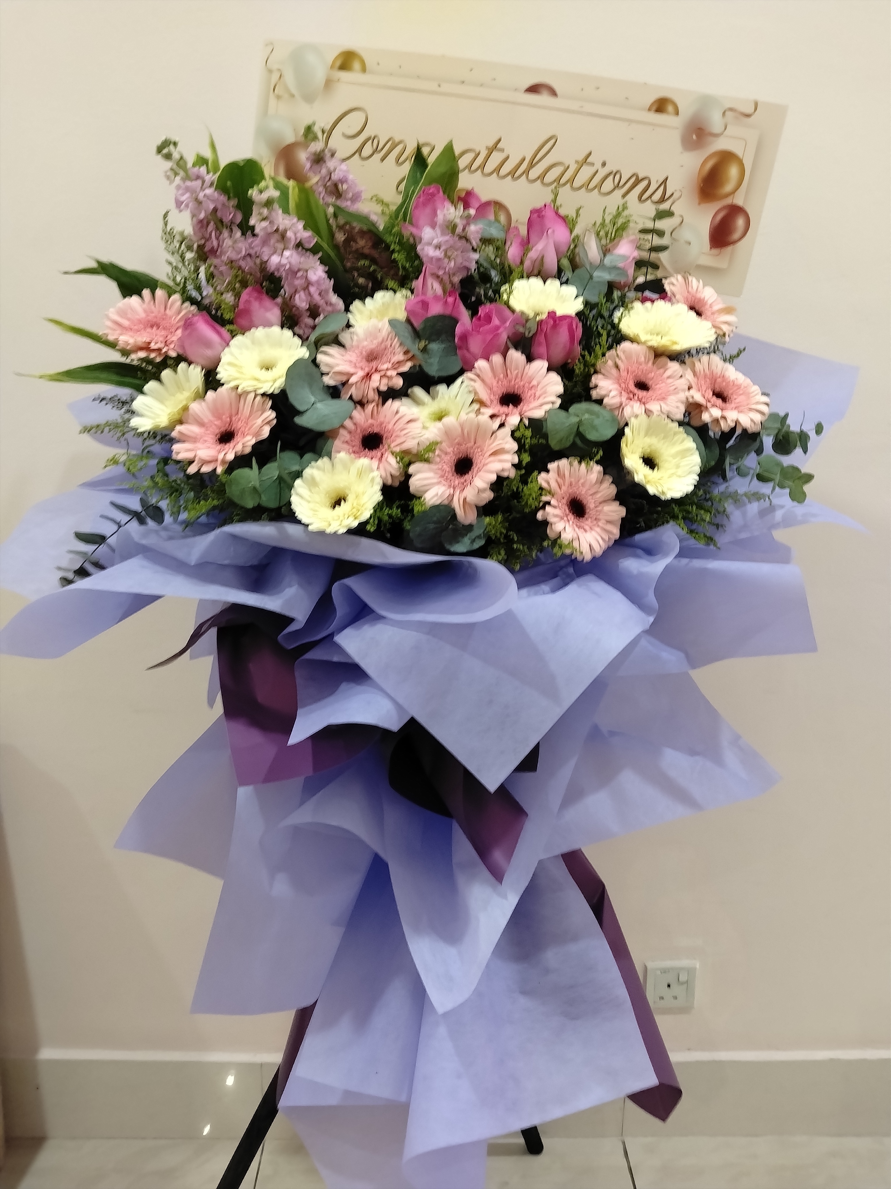 Grand Opening - GO52