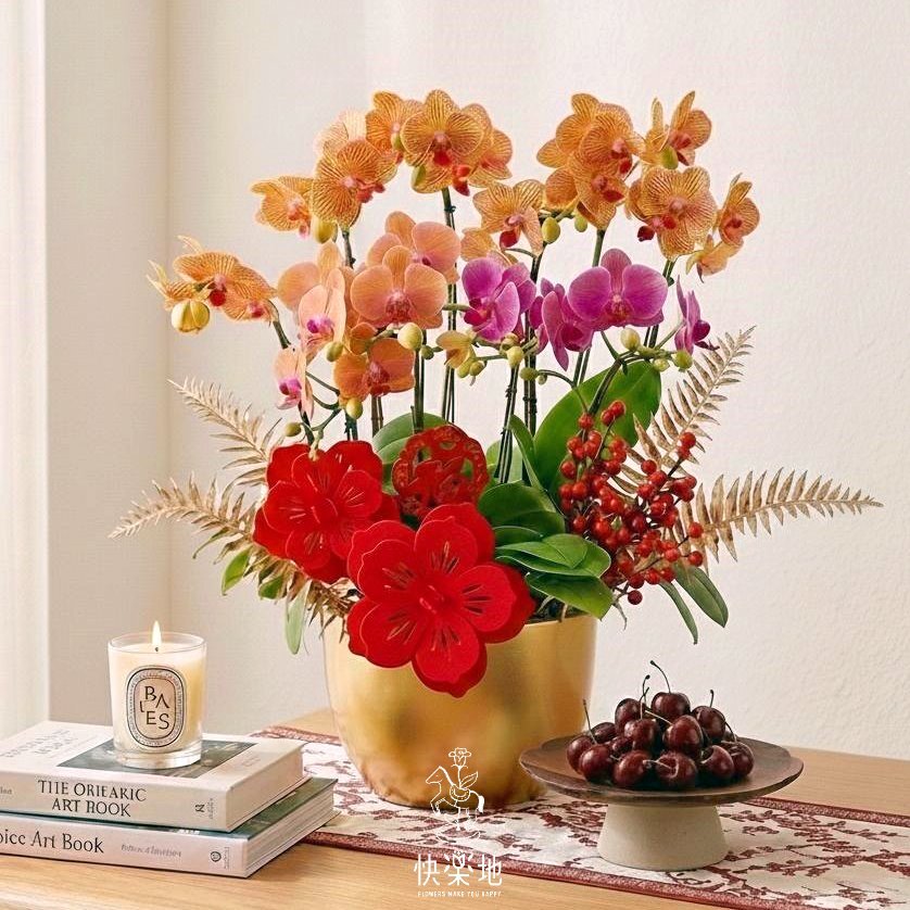 花開福滿 I 春節蘭花  OP240888