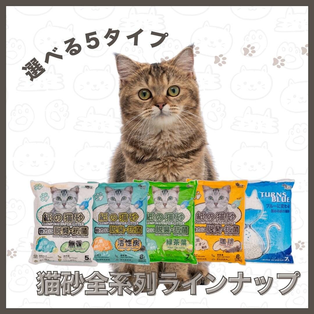 【新會員免運體驗組】消臭抗菌紙貓砂