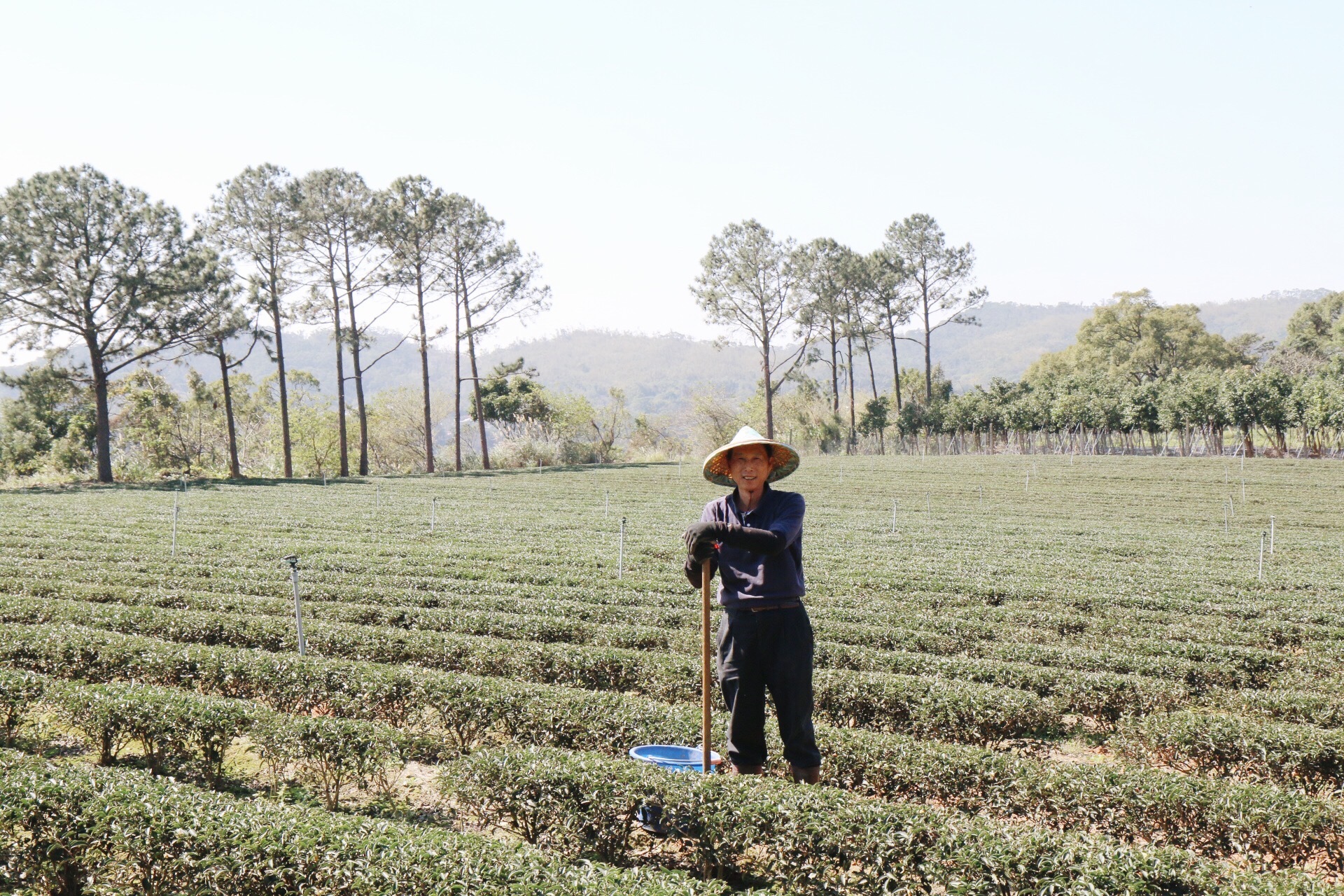 徐耀良先生特寫