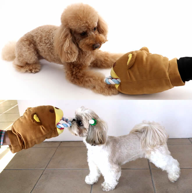 【PET PARADISE】 寵物玩具-咬繩 熊