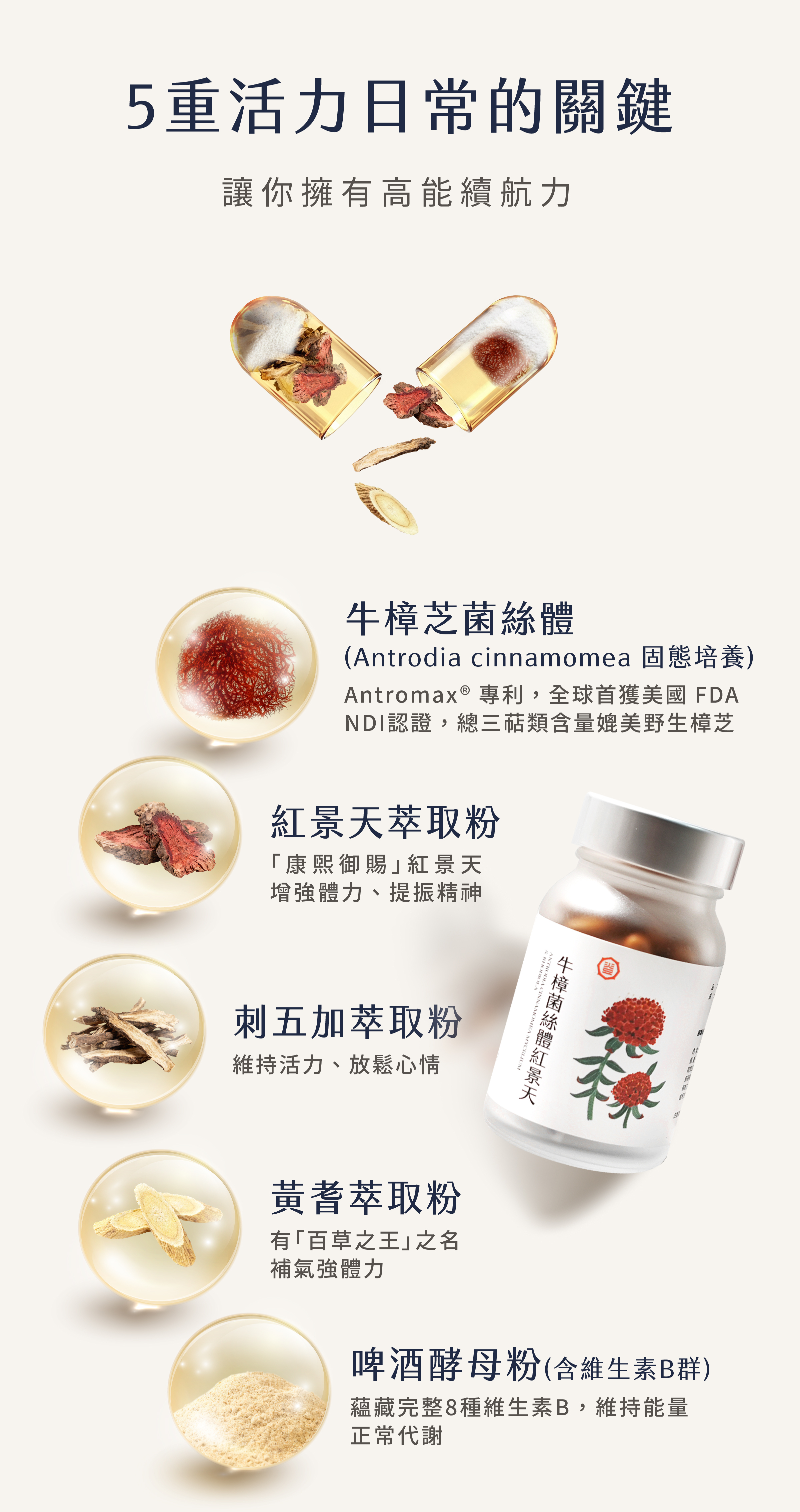 登義牛樟芝菌絲體紅景天複方膠囊原料