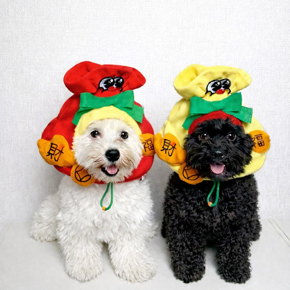 Mormat｜ 發財小福包 頭套