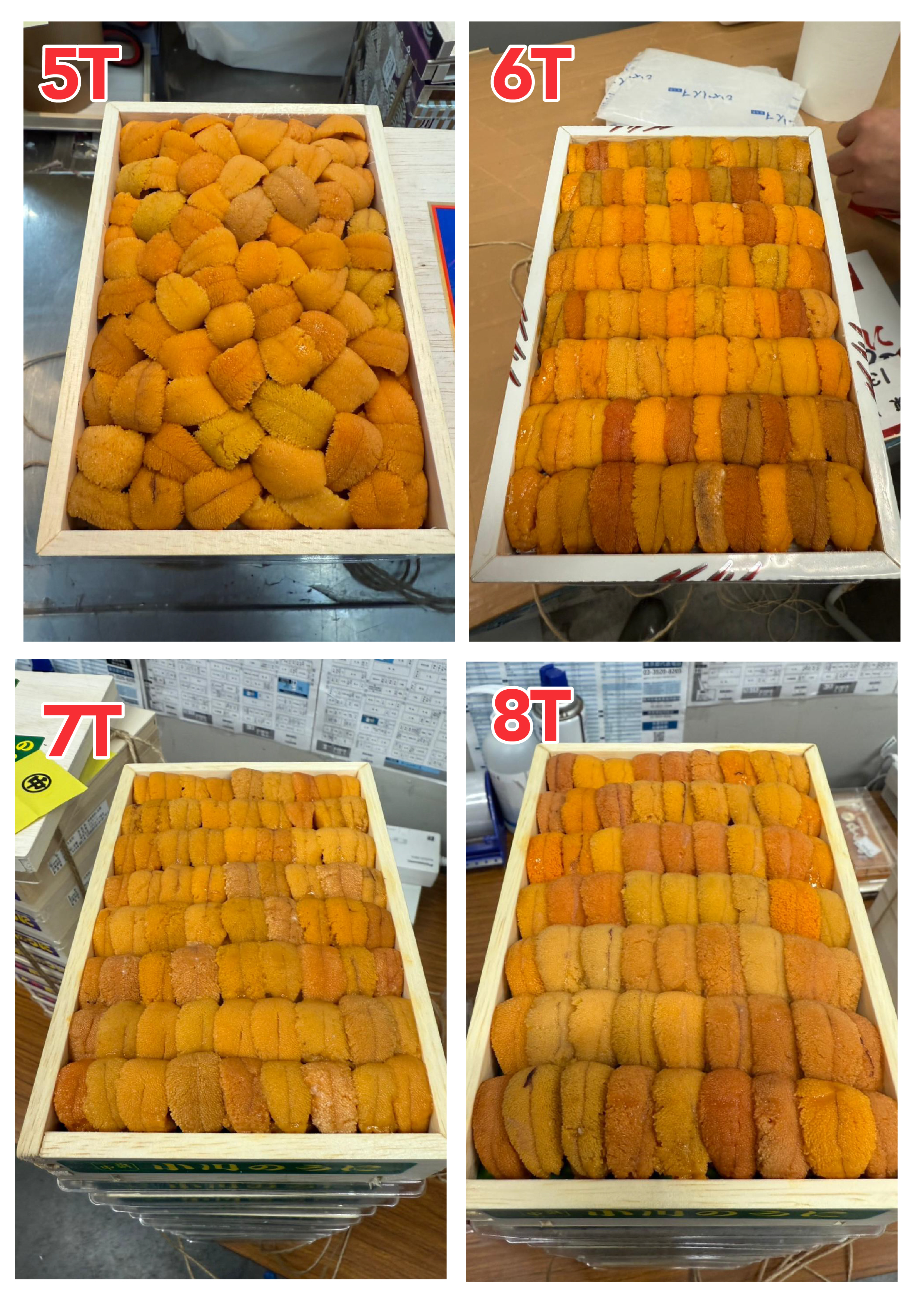 【指定海膽推薦】每天更新 (限即日落單, 翌日送)