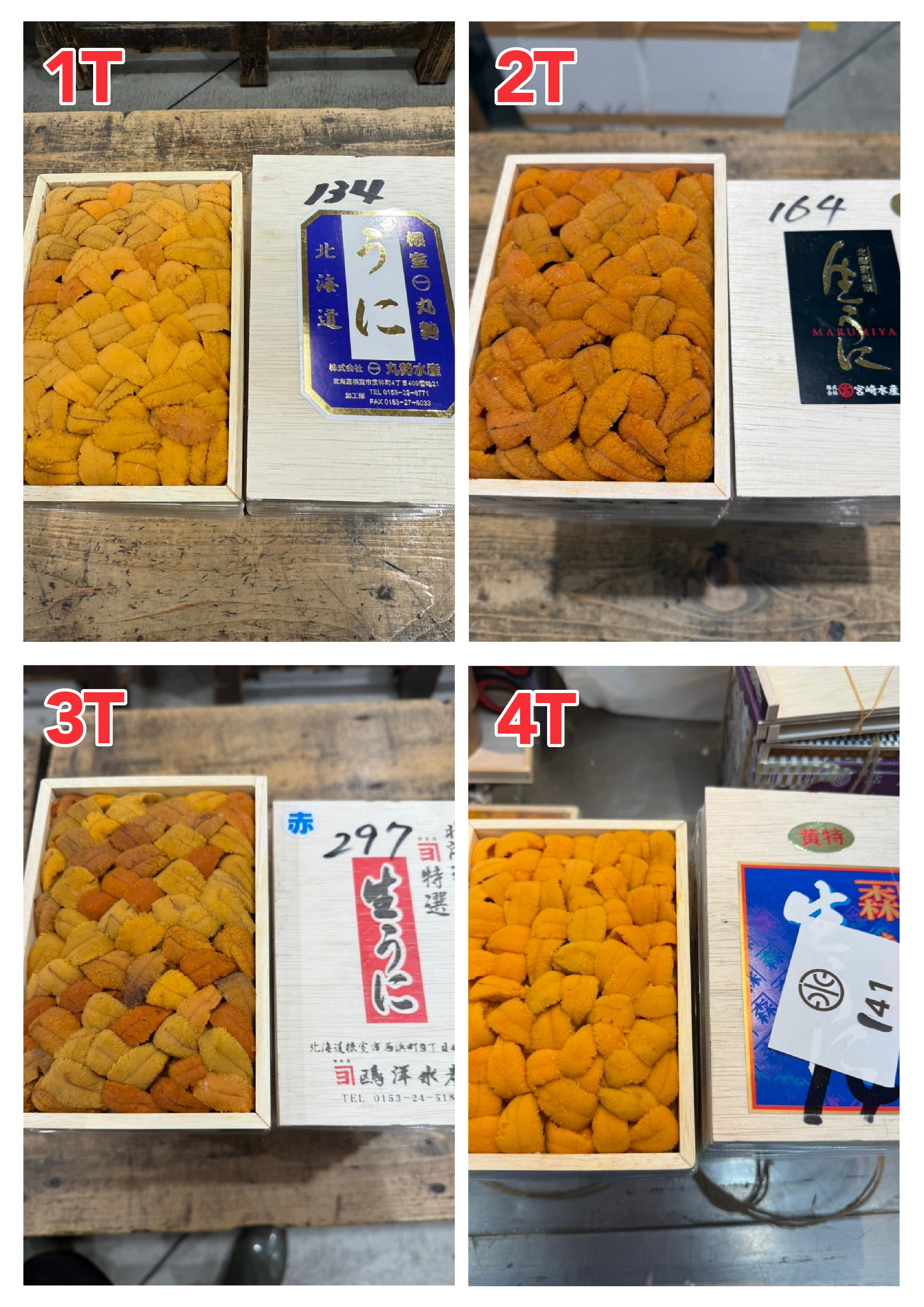 【指定海膽推薦】每天更新 (限即日落單, 翌日送)