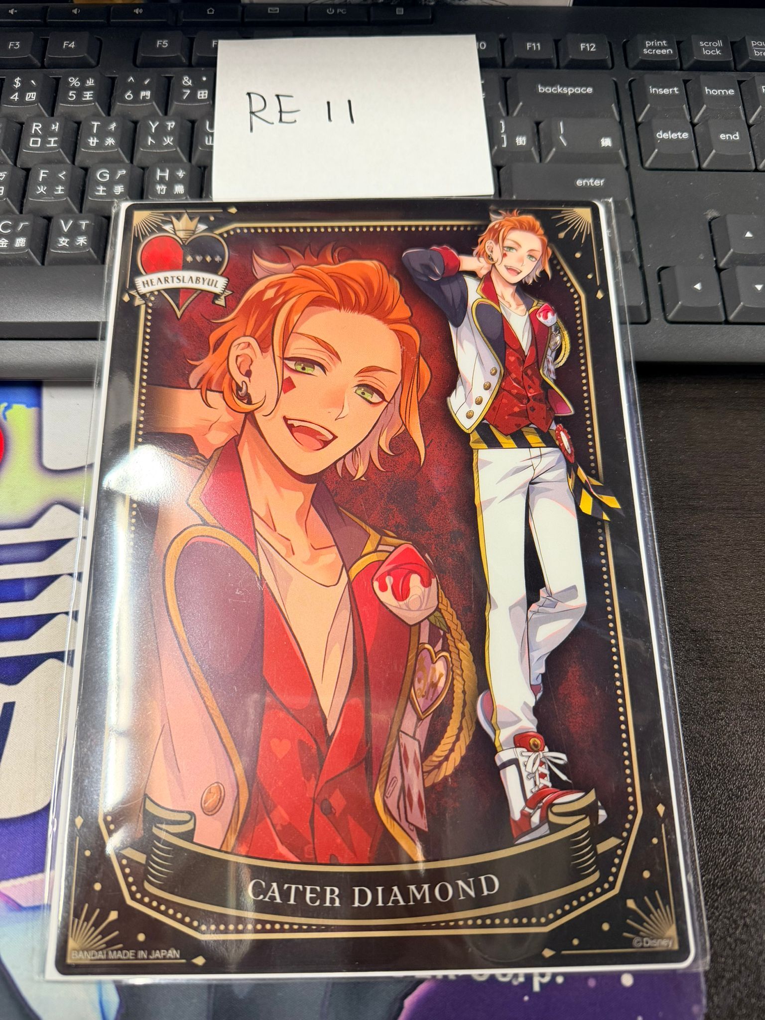 TWST Cater 大膠卡 #RE11