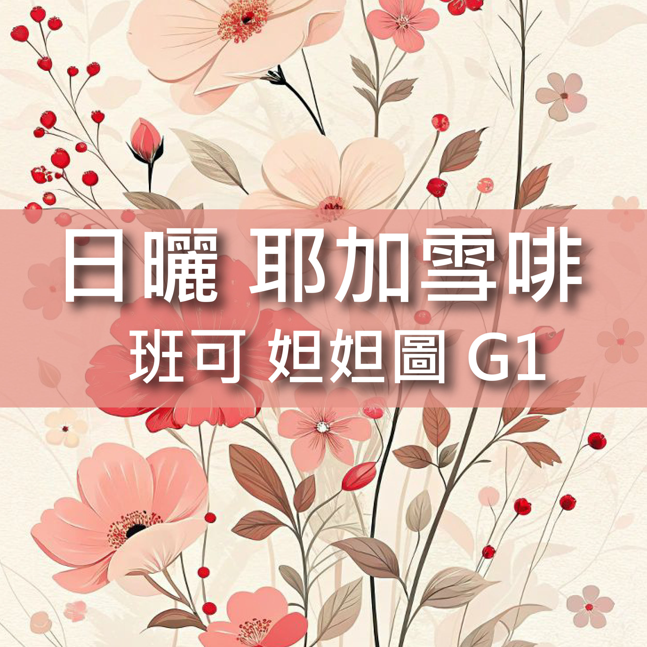★順口圓潤★日曬 耶加雪啡 班可 妲妲圖 G1
