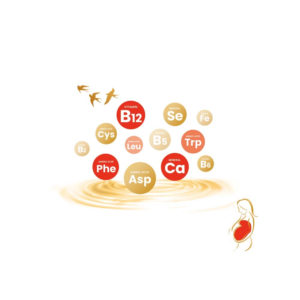 【格萊思美】 燕窩 滴雞精 胺基酸B群 60粒