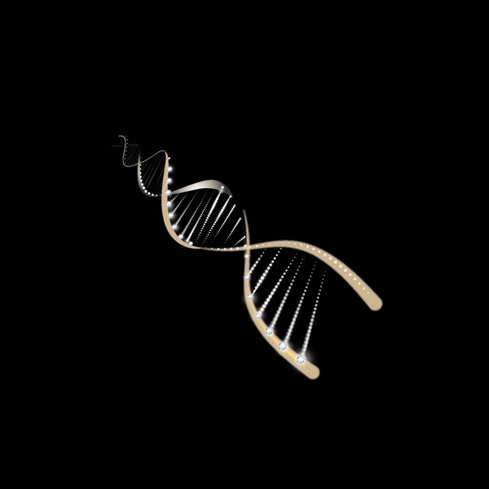 【格萊思美】專利天然NMN活性酵母 60粒