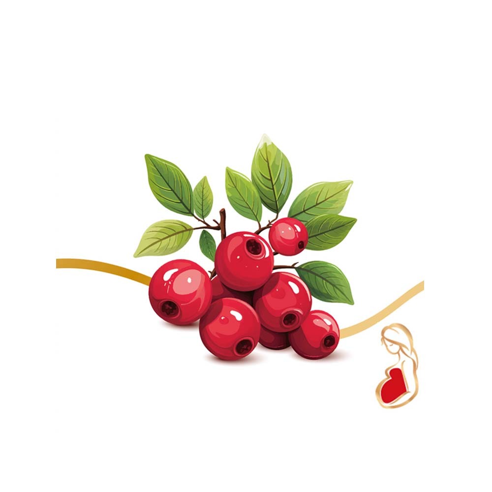 【格萊思美】蔓越莓·櫻桃C·咀嚼錠 90錠