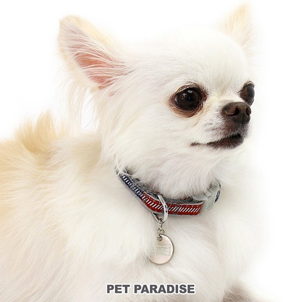 【PET PARADISE】 寵物用品-反光項圈 3S、SS