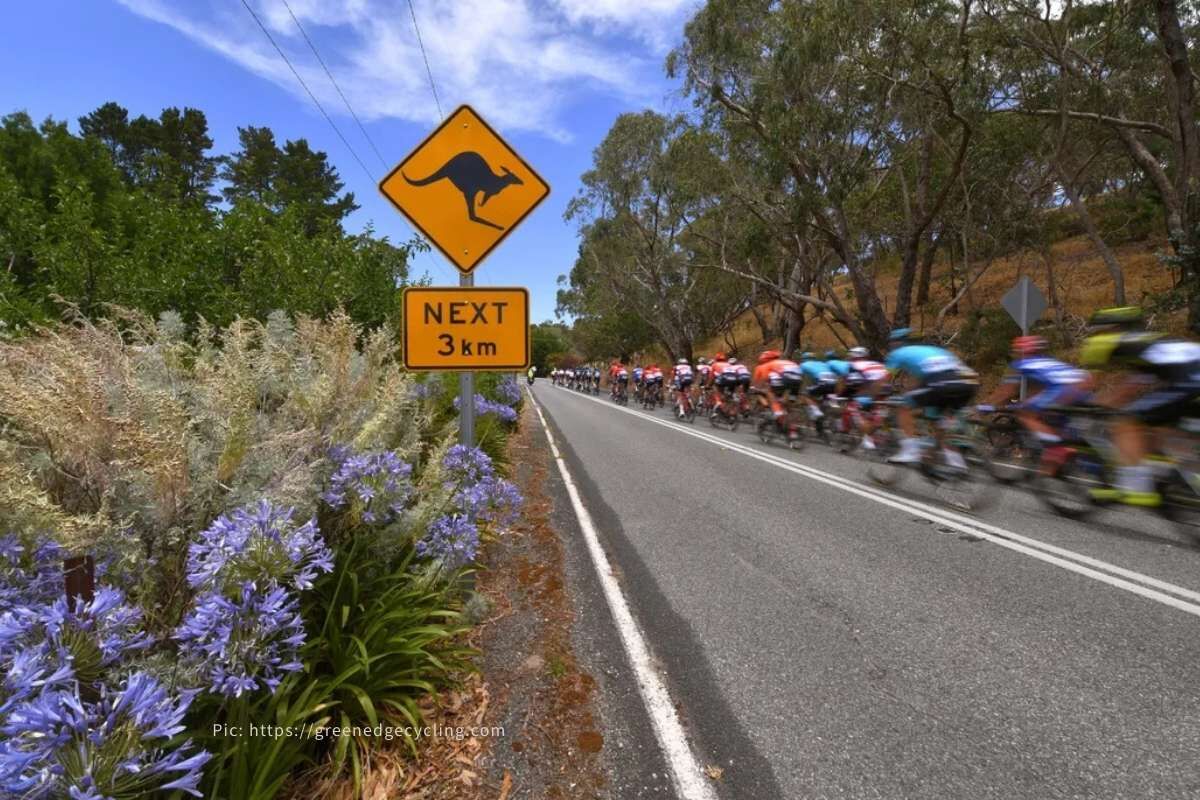 澳洲盛夏的公路賽道，世界巡迴賽從南半球開季，像是一條全年敘事的起跑線