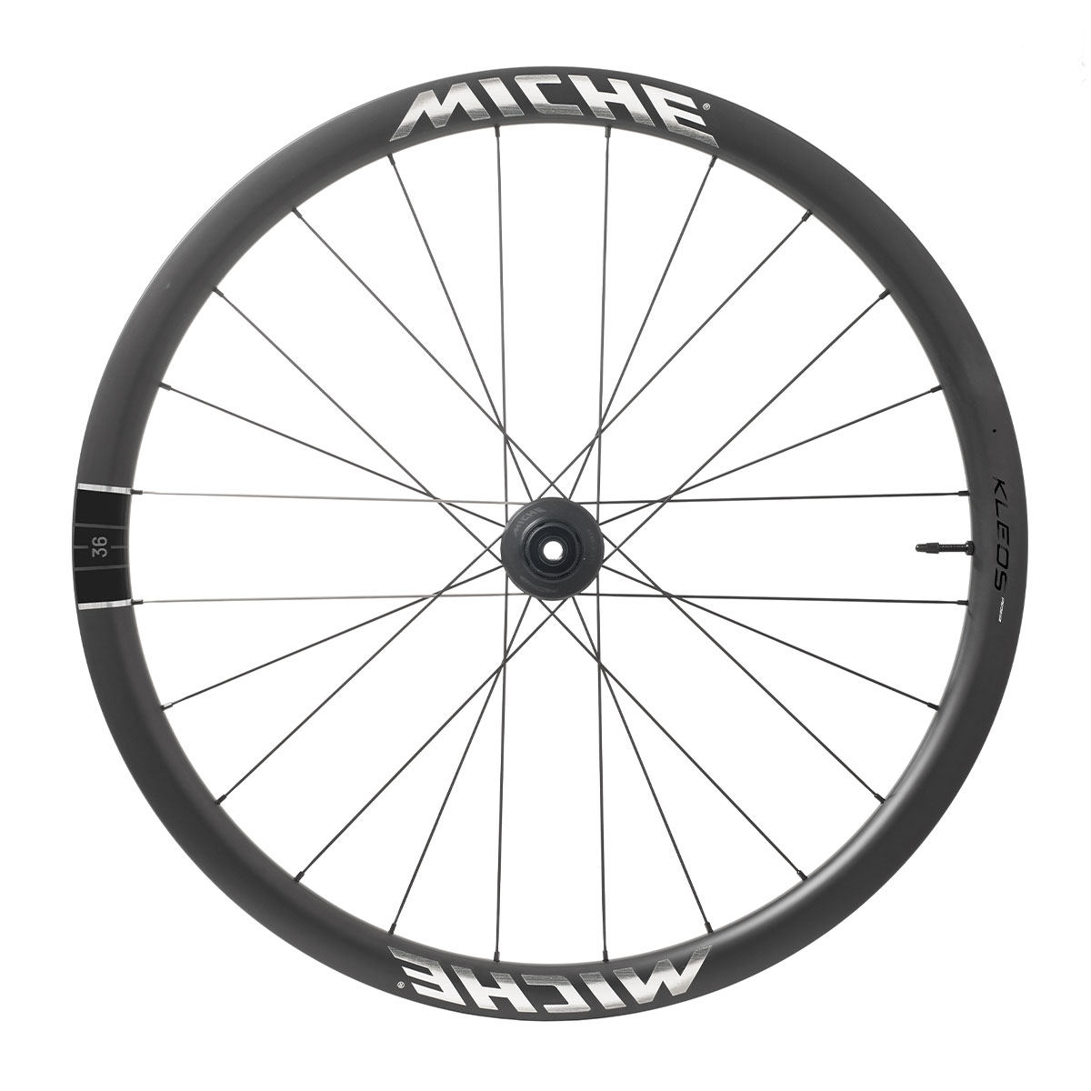 Miche Kleos 36 碟剎公路輪組