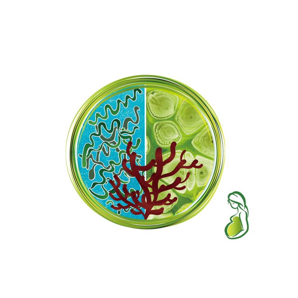 【格萊思美】頂級黑褐藻 藍綠藻 全素 600粒