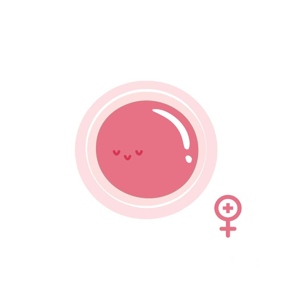 【格萊思美】 DHEA 賜爾蒙EX · 全素 60粒