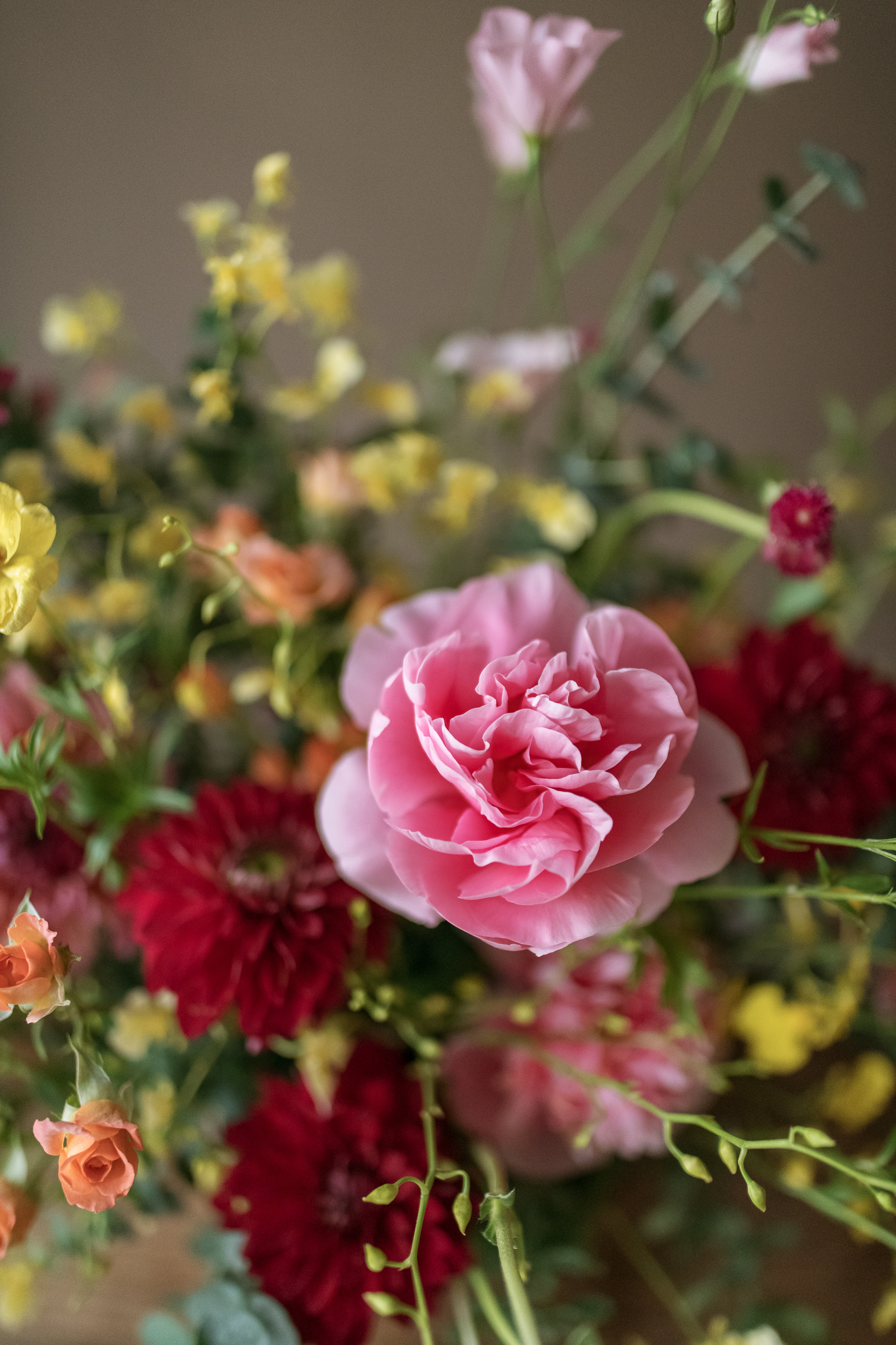 迎春接福 | 桌花