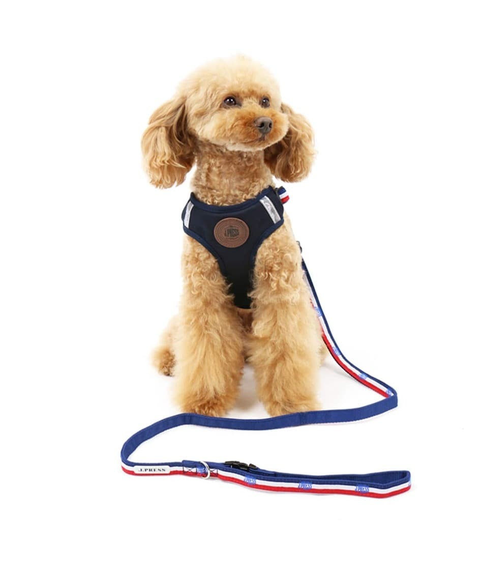【PET PARADISE】 寵物胸背帶-附牽繩 藍 3S、SS