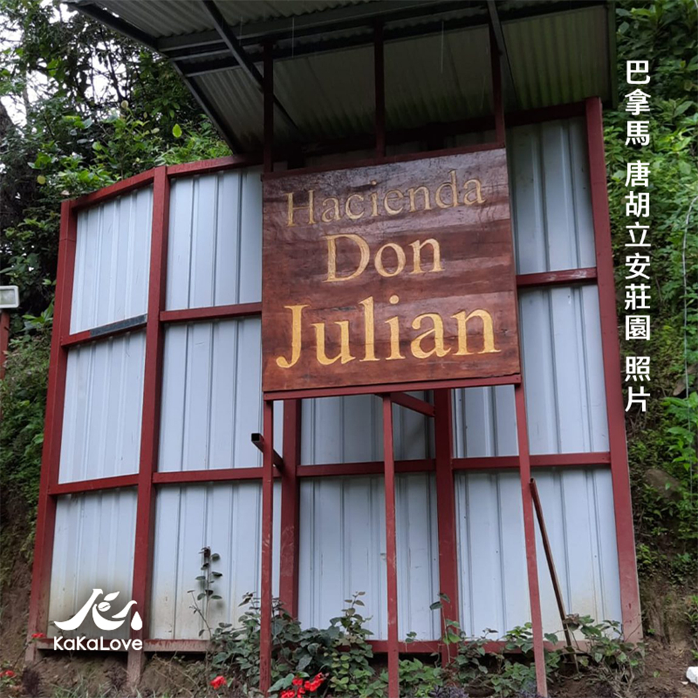 巴拿馬 日曬 波奎特 唐胡立安莊園 鐵比卡 0.25磅