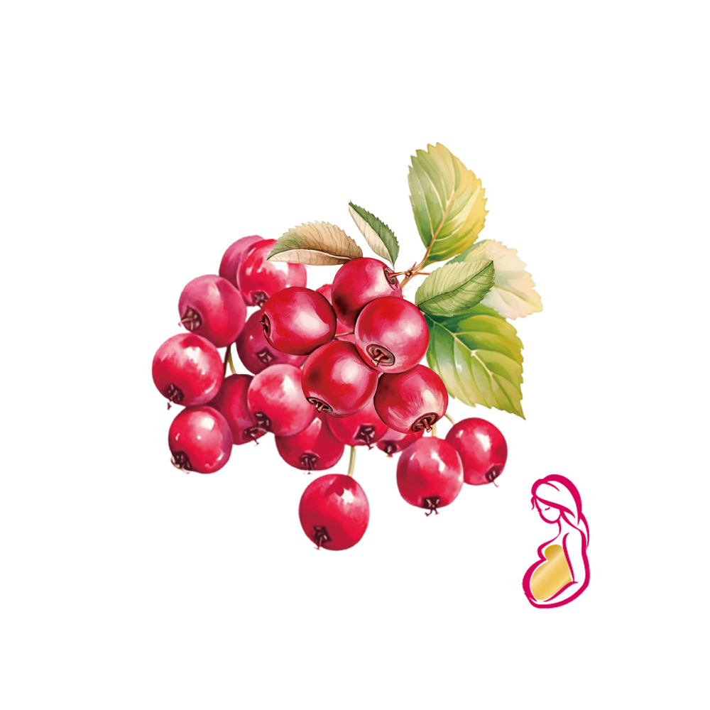 【格萊思美】蔓越莓 · 甘露糖 · 益生菌 (30包)