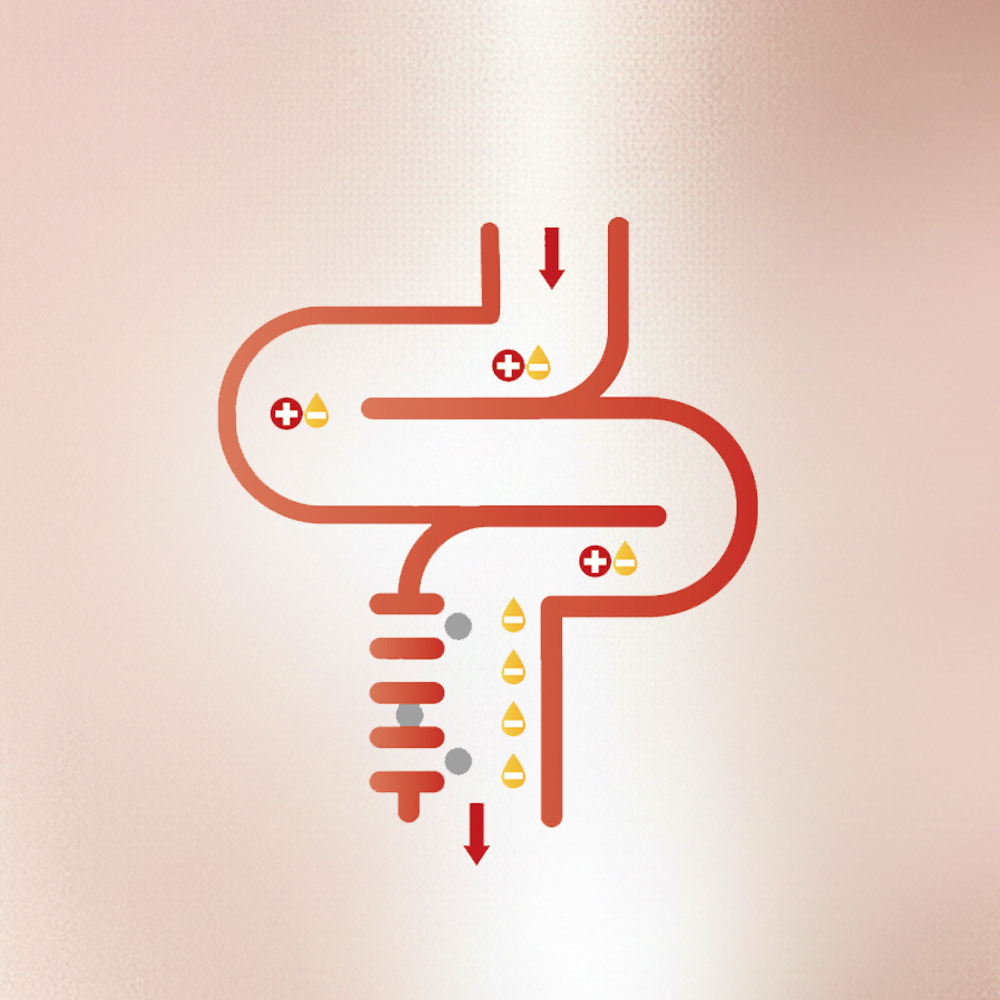 【格萊思美】冰島 速崩甲殼素 植物固醇 (90顆)