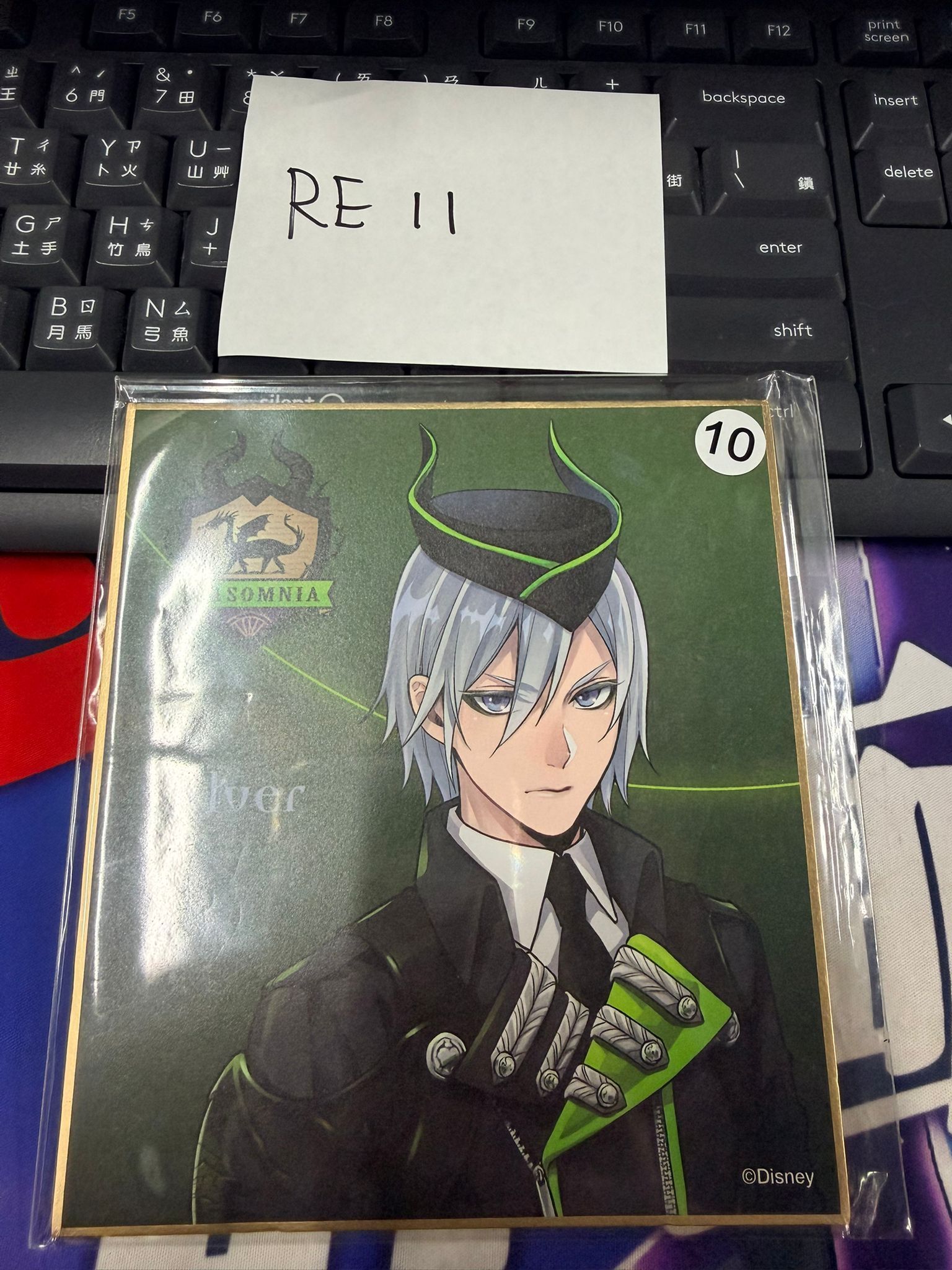 TWST Silver 色紙 #RE11