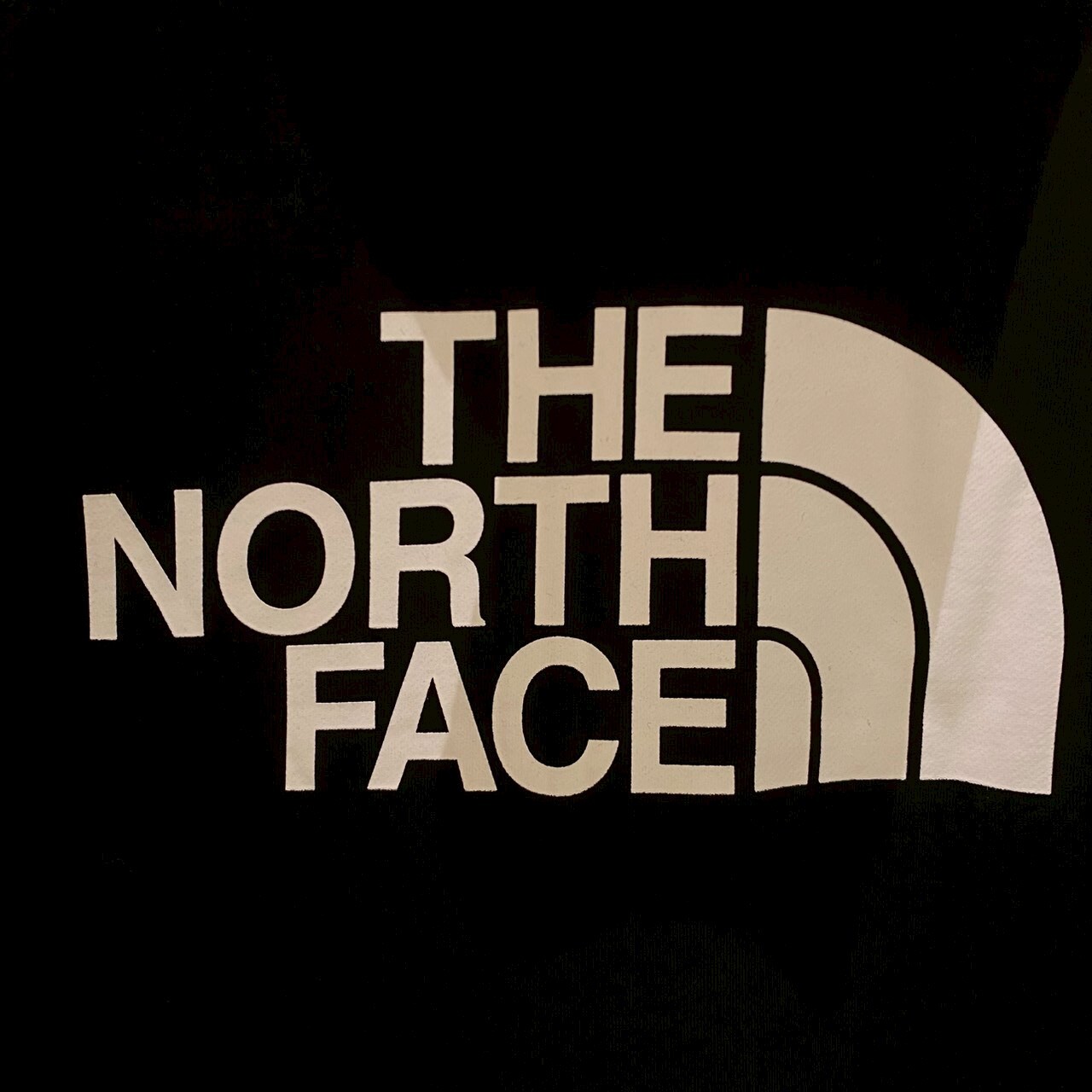 The North Face 北臉 純棉舒適透氣LOGO連帽外套 NF0A83ORJK3