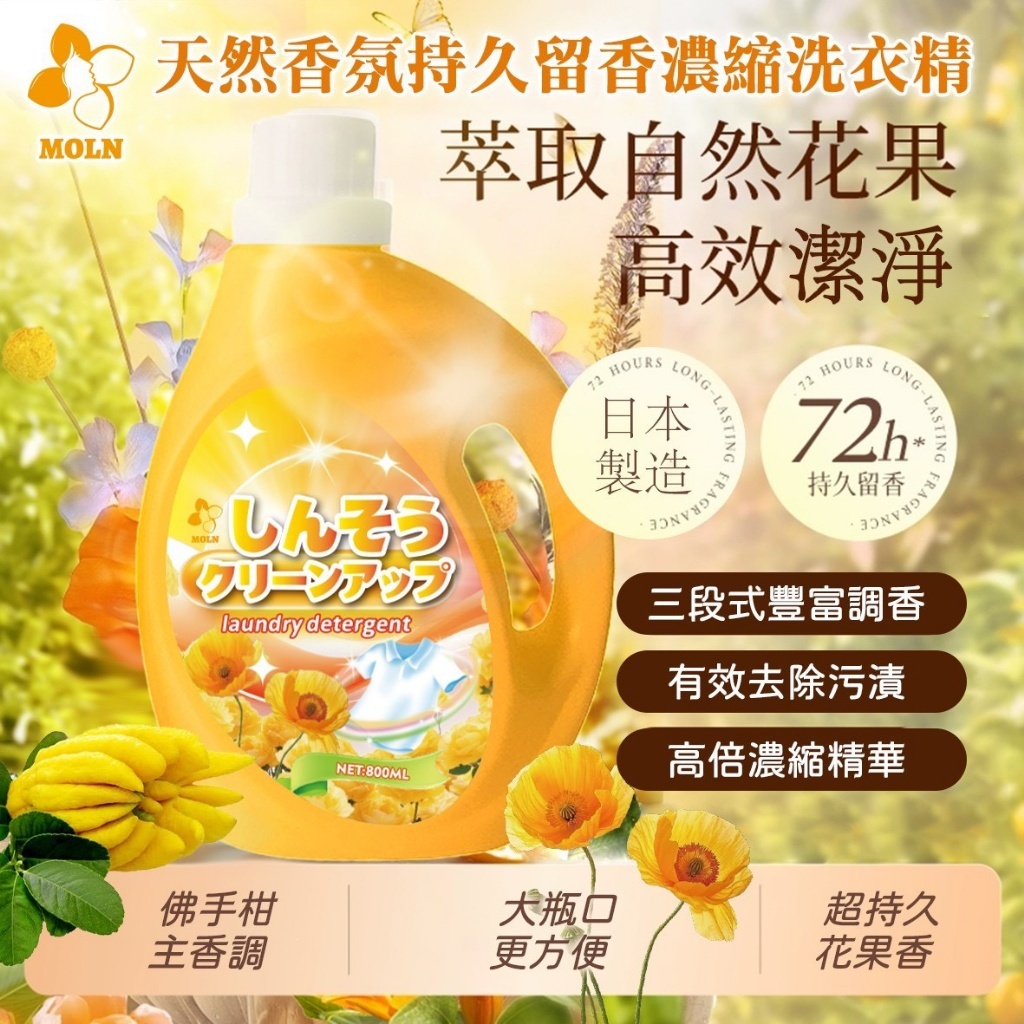 Moln天然香氛持久留香濃縮洗衣精800ml 一組2瓶