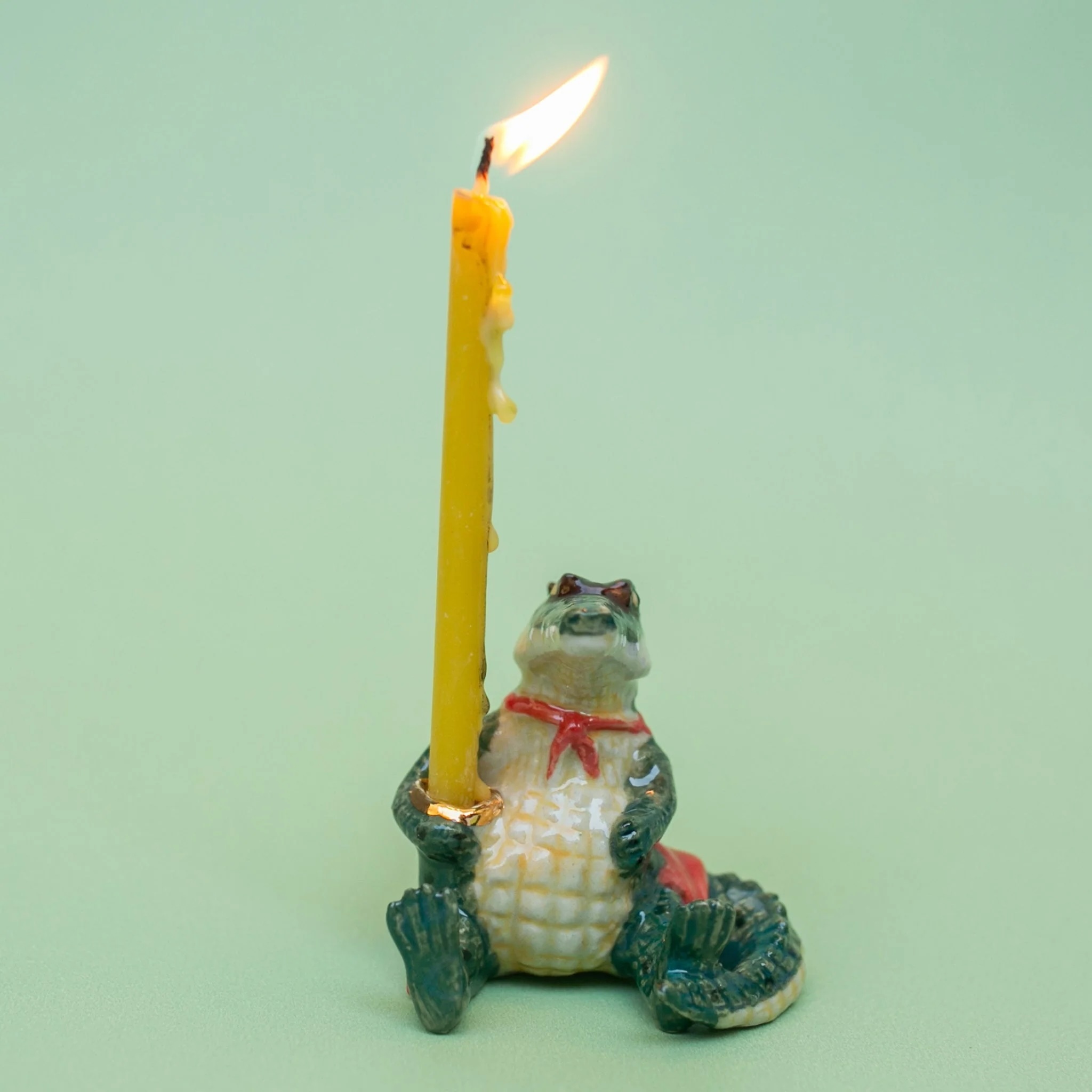 短吻鱷 Late Gator