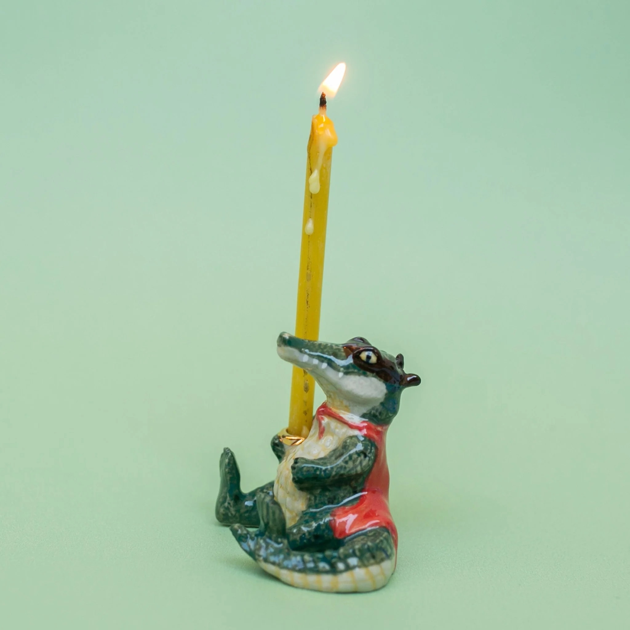 短吻鱷 Late Gator