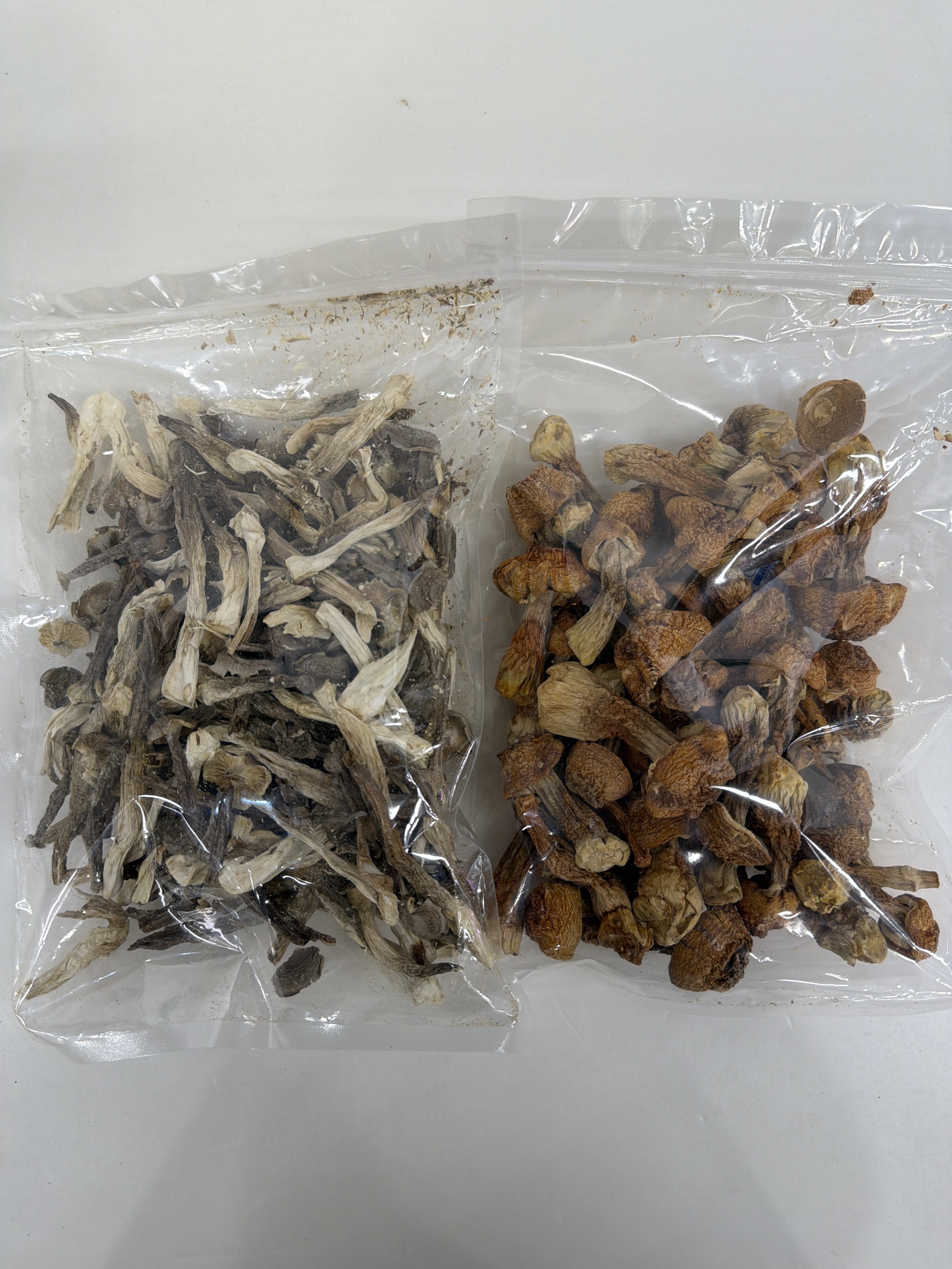 PA47 買一送一套裝: 姬松茸 120克  **送 鹿茸菇 100克