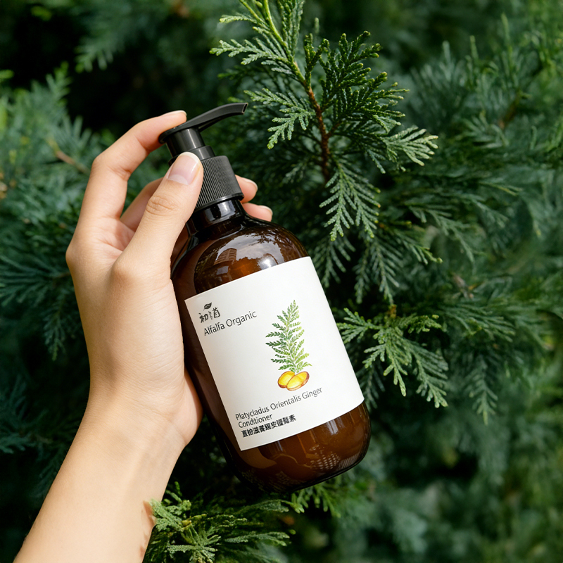 薑柏温養頭皮護髮素