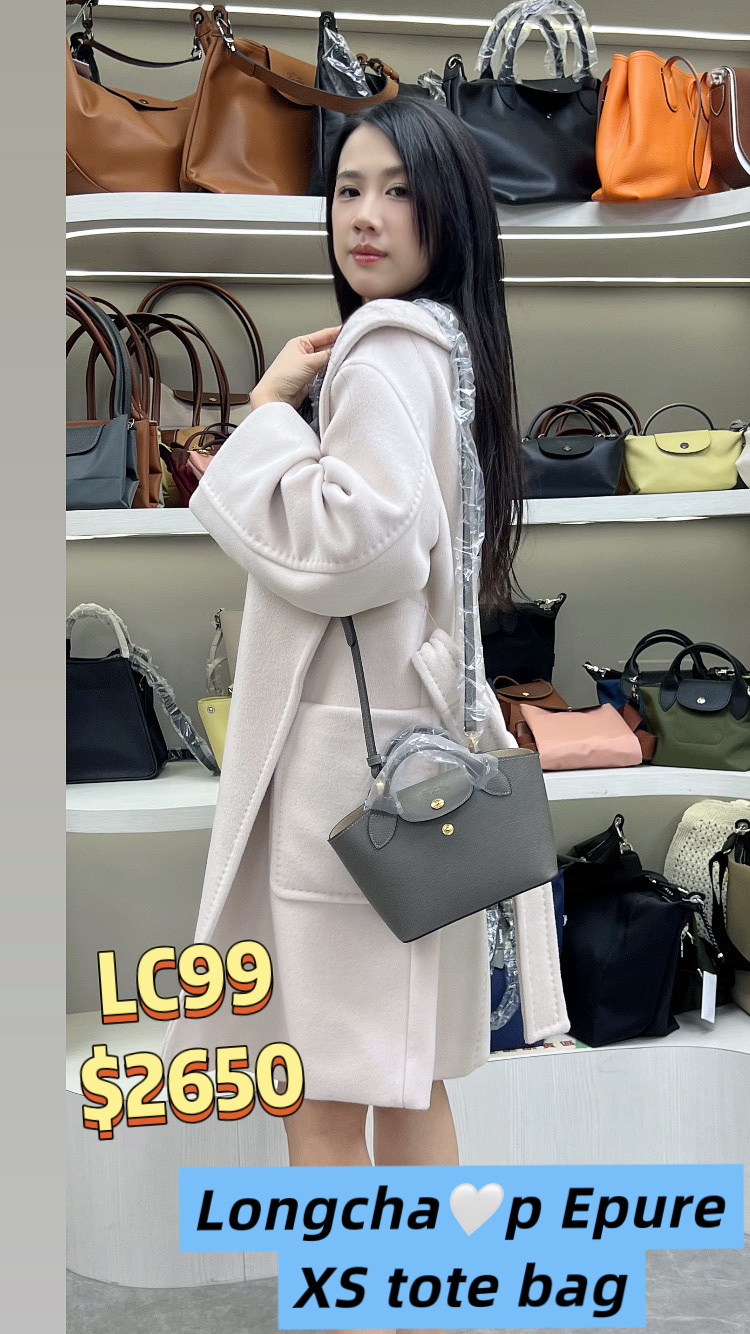 LC99   ÉPURE 迷你皮革手提包 10319 HYZ P55 -T