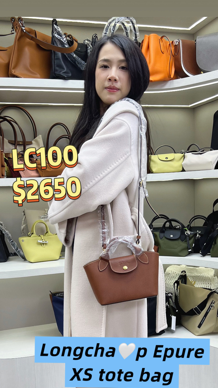 LC100   ÉPURE 迷你皮革手提包 10319 HYZ 035  -T