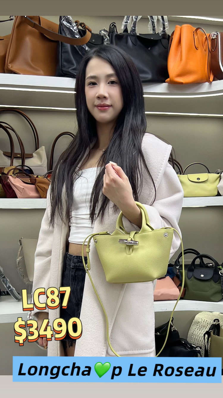 LC87   LE ROSEAU 迷你皮革手提包 10278 HFP 244 -T