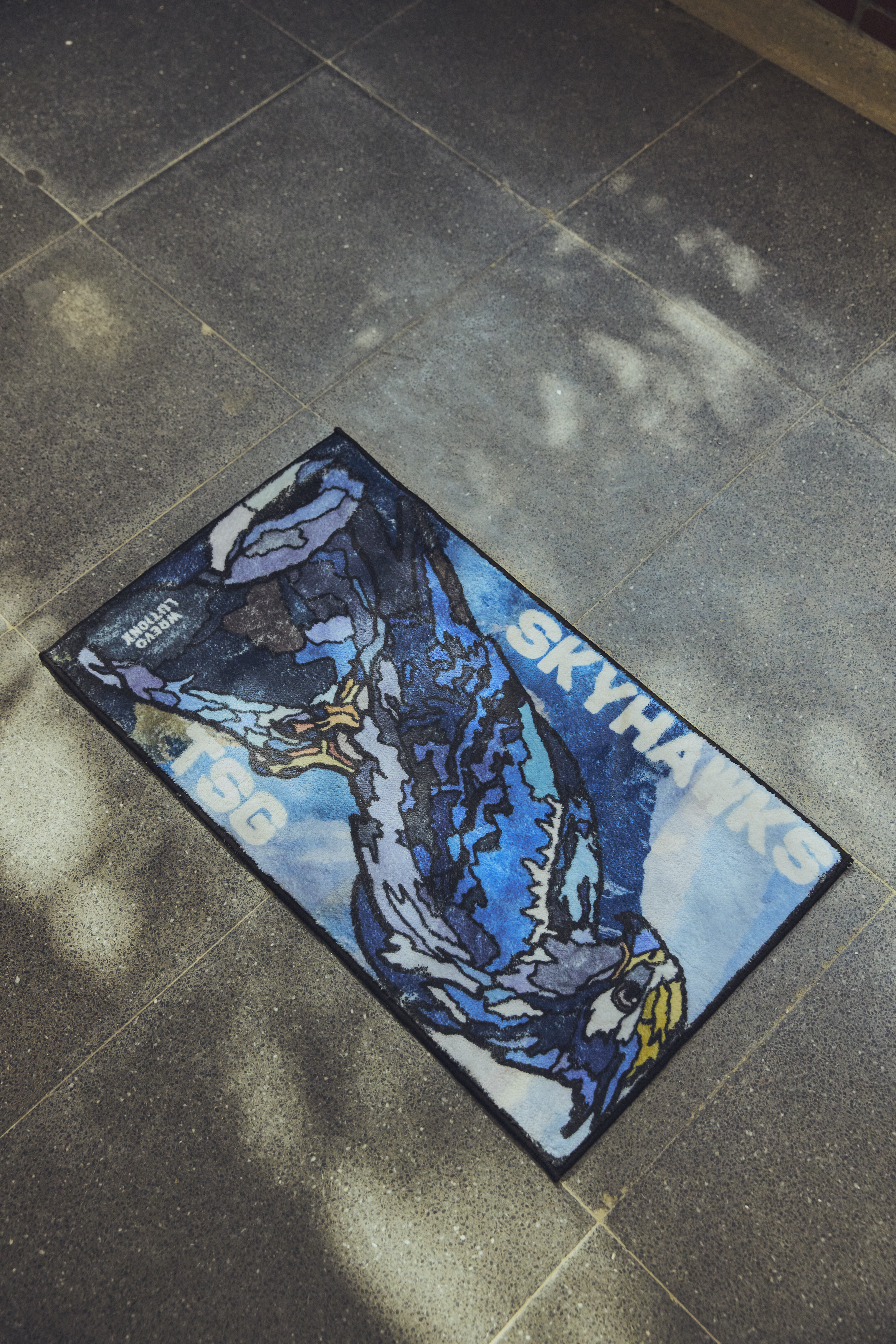 天鷹仿羊絨地毯