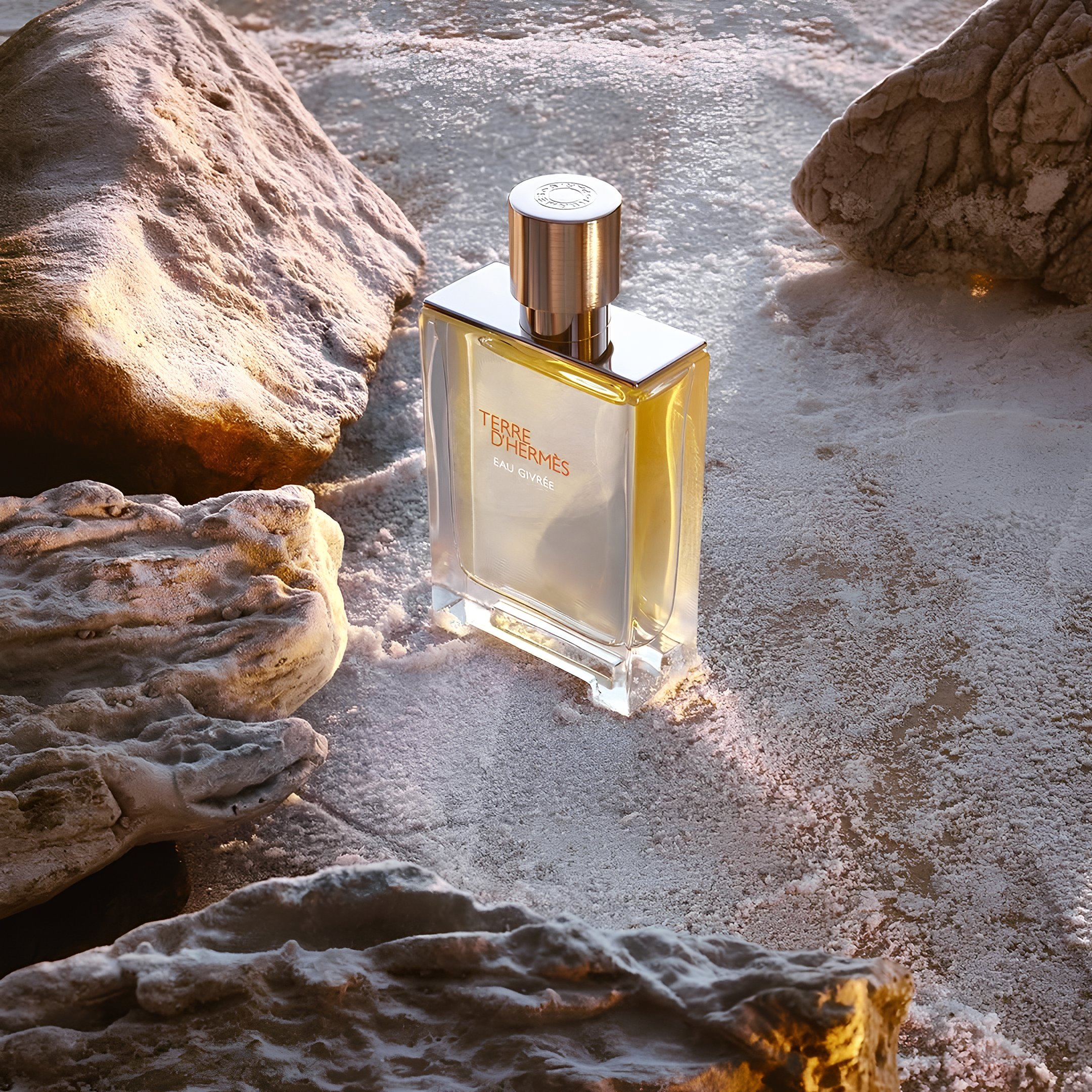 Terre d'Hermes Eau Givree
